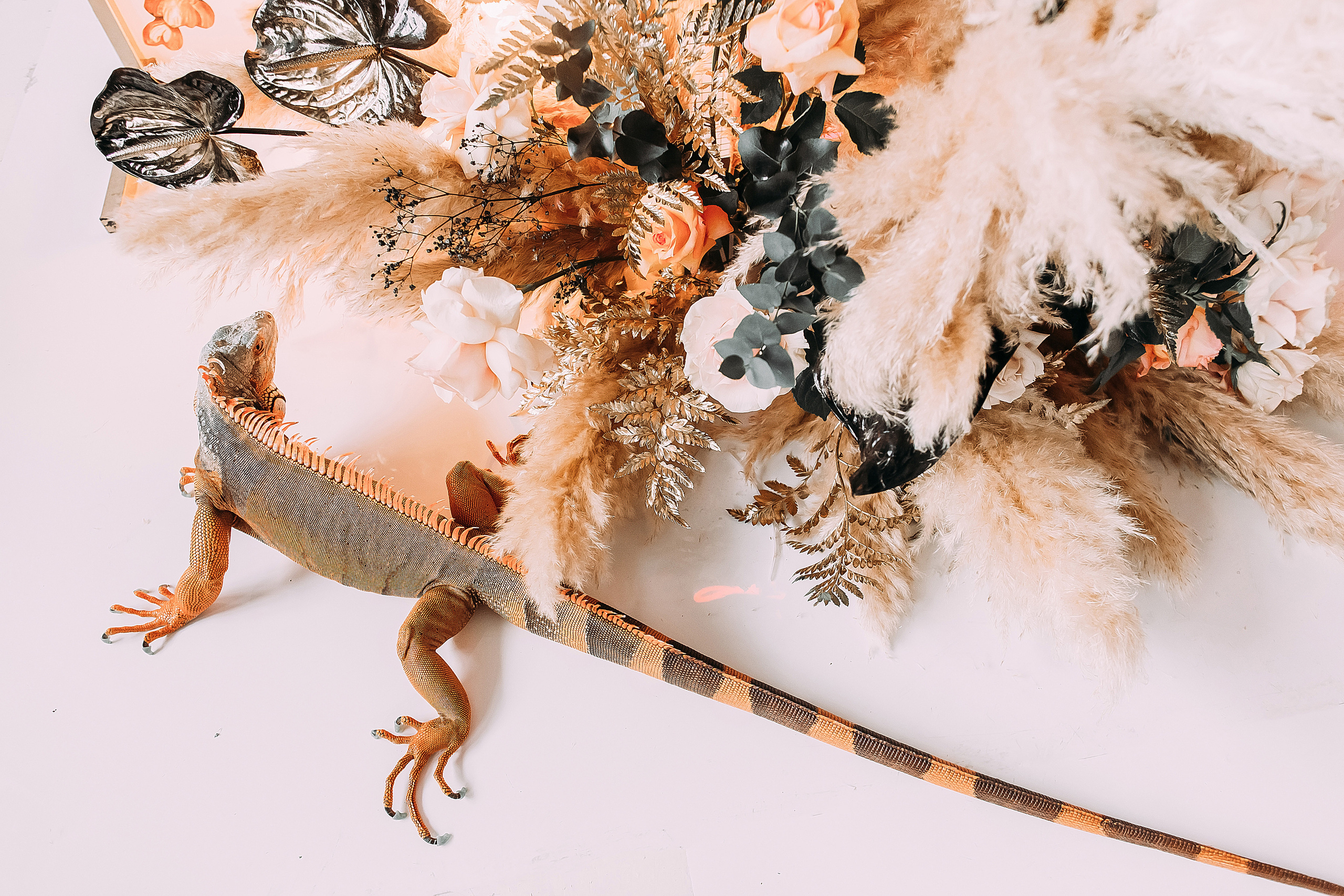 АвроГуччи. Фотограф в Красноярске Гетманова Мила