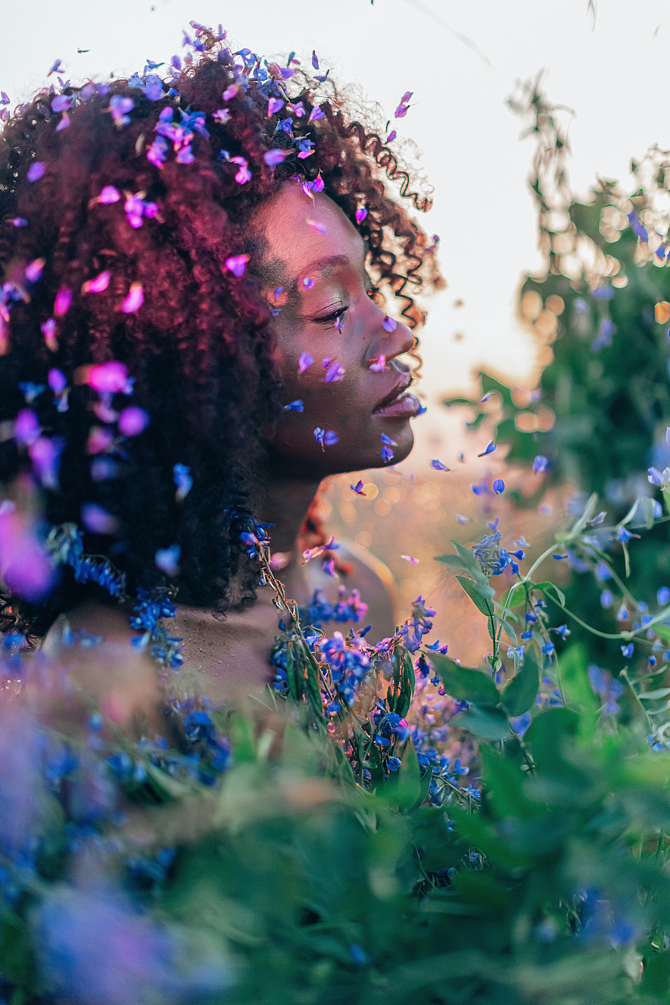 Иван-чай. Фотограф в Красноярске Гетманова Мила