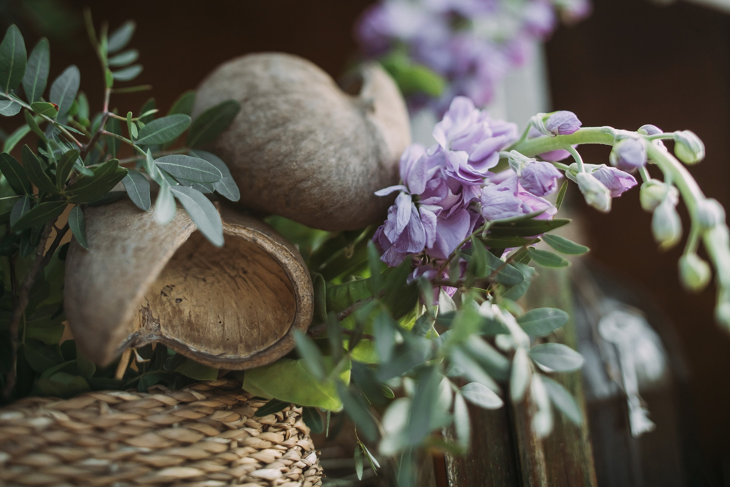 Том Сойер. Фотограф в Красноярске Гетманова Мила