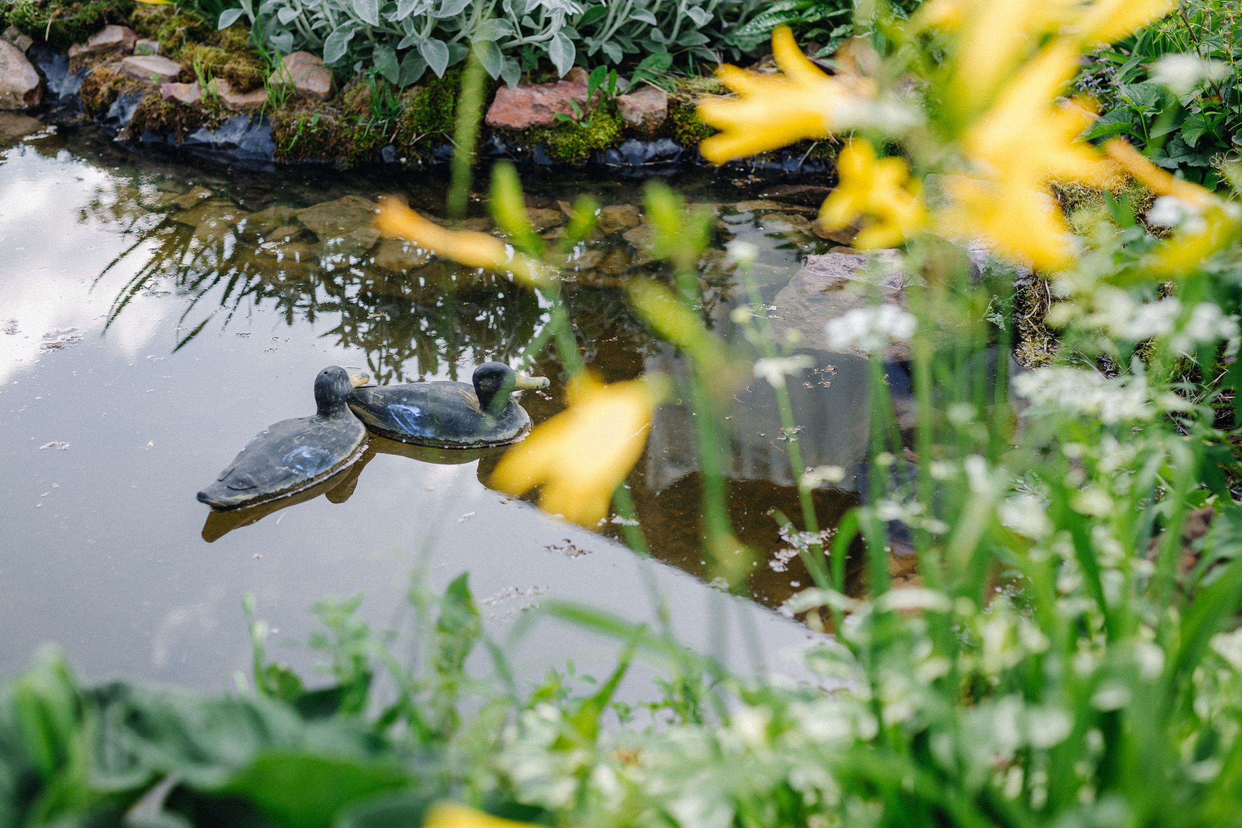 Татьяна+Иван. Фотограф в Красноярске Гетманова Мила