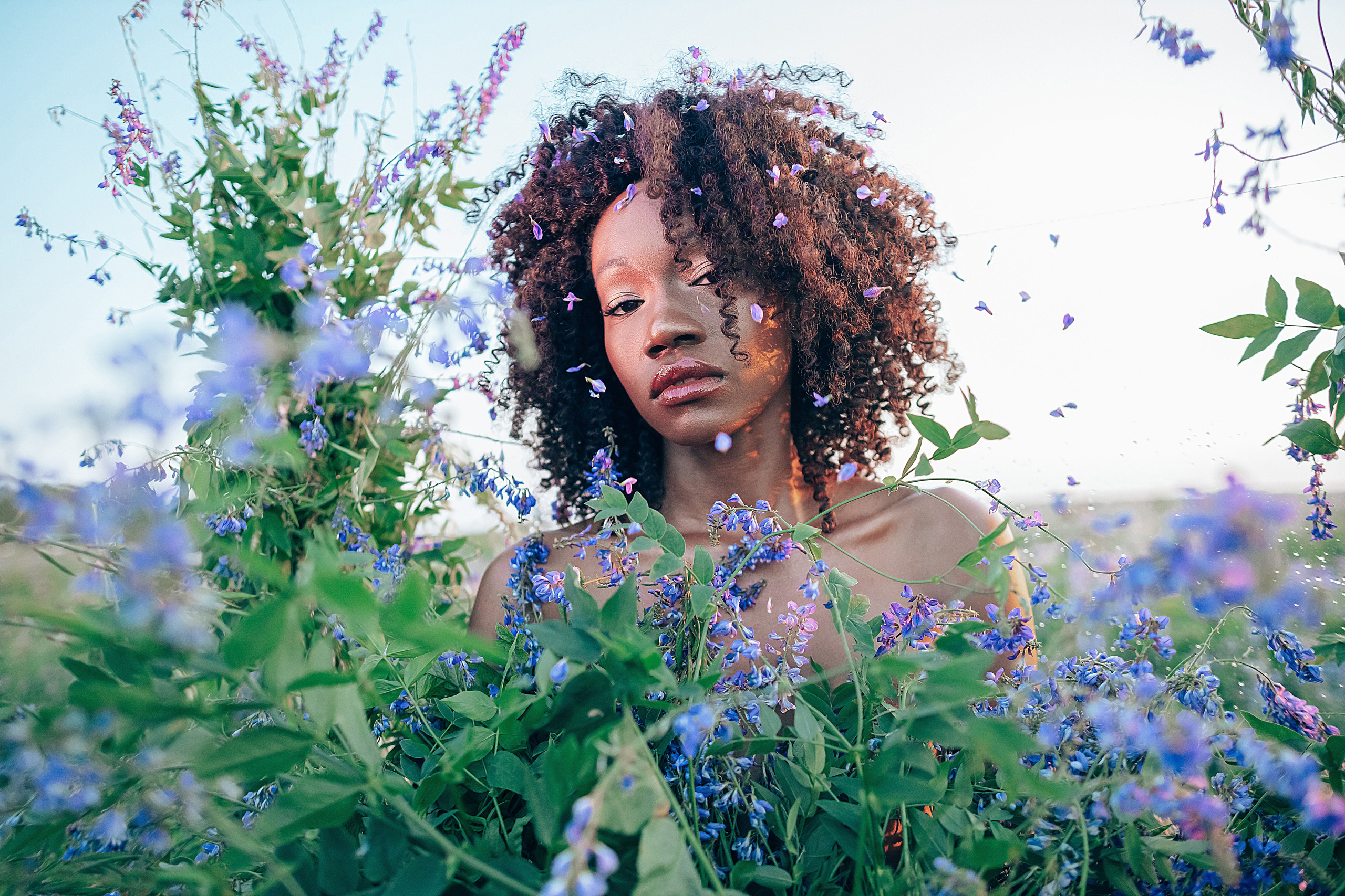 Иван-чай. Фотограф в Красноярске Гетманова Мила