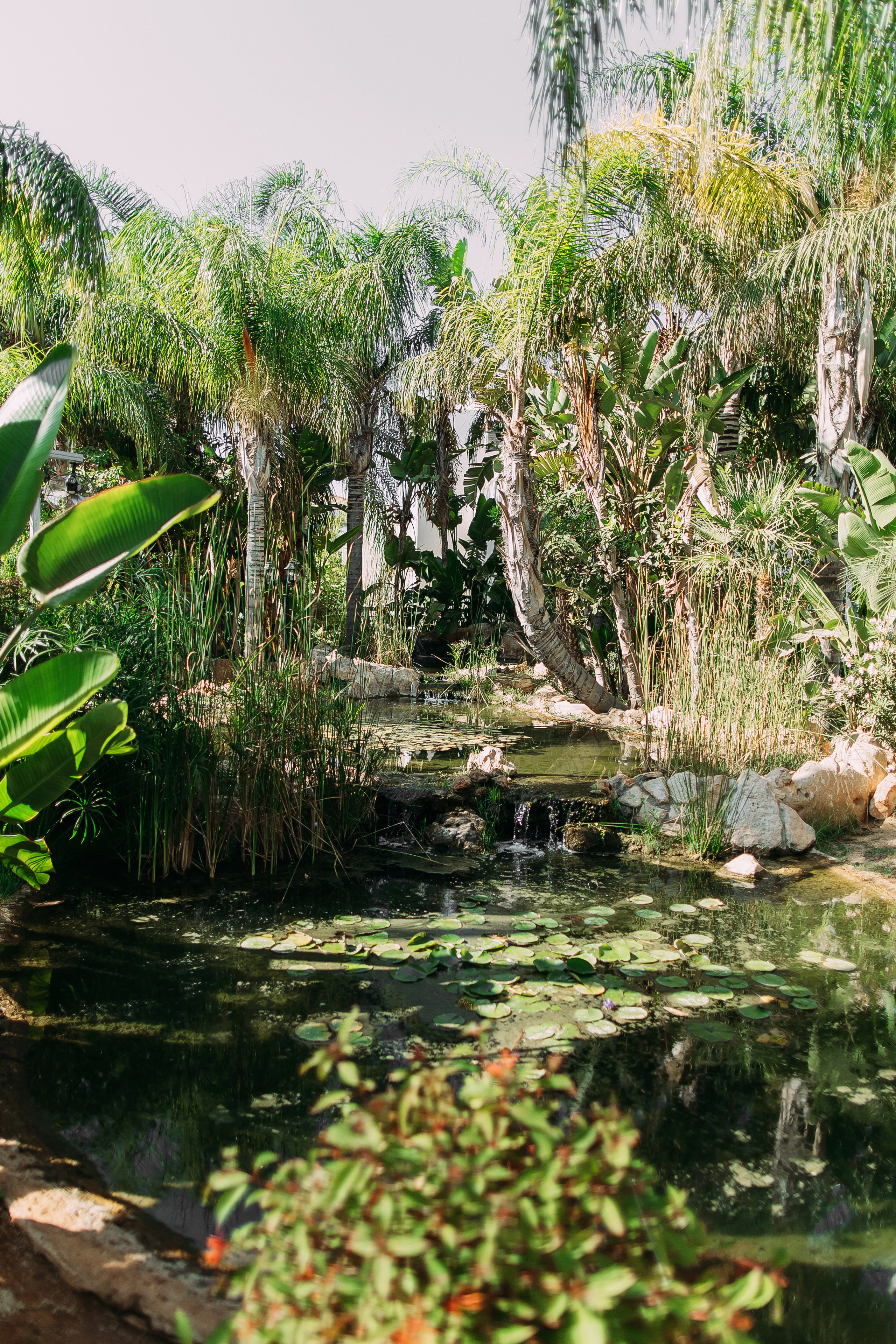 Катерина+Александр. Кипр. Фотограф в Красноярске Гетманова Мила