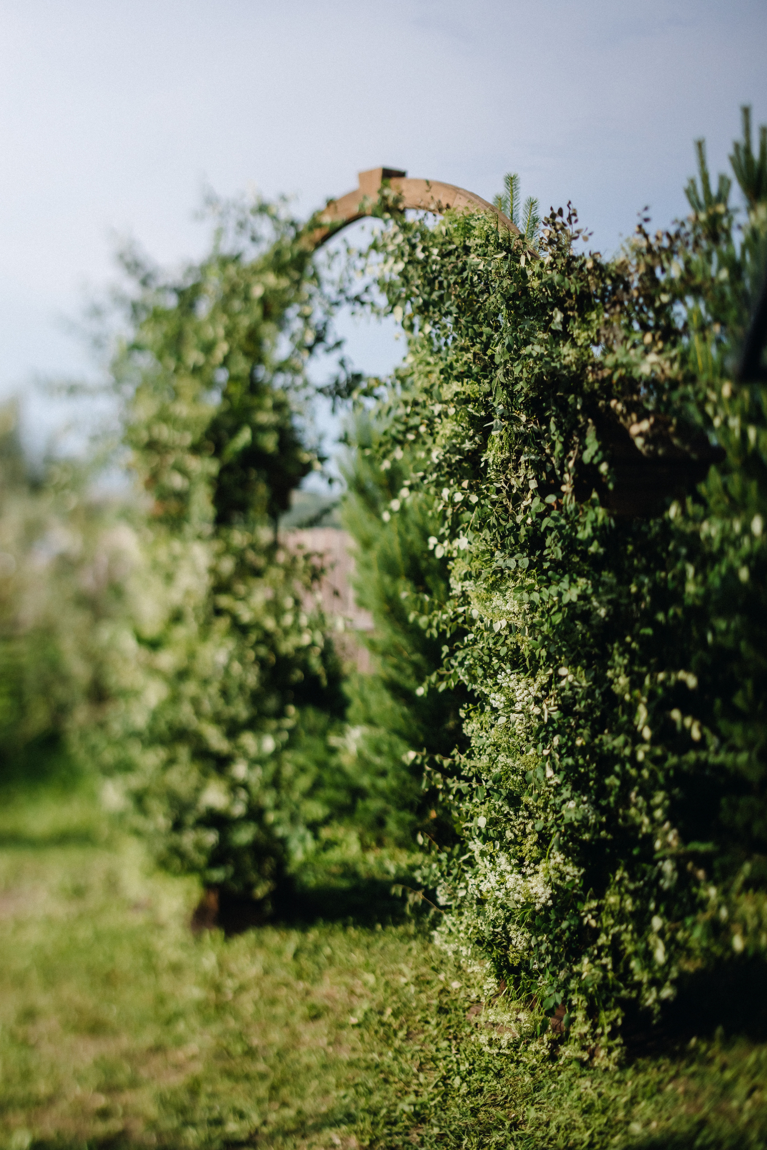 Татьяна+Иван. Фотограф в Красноярске Гетманова Мила