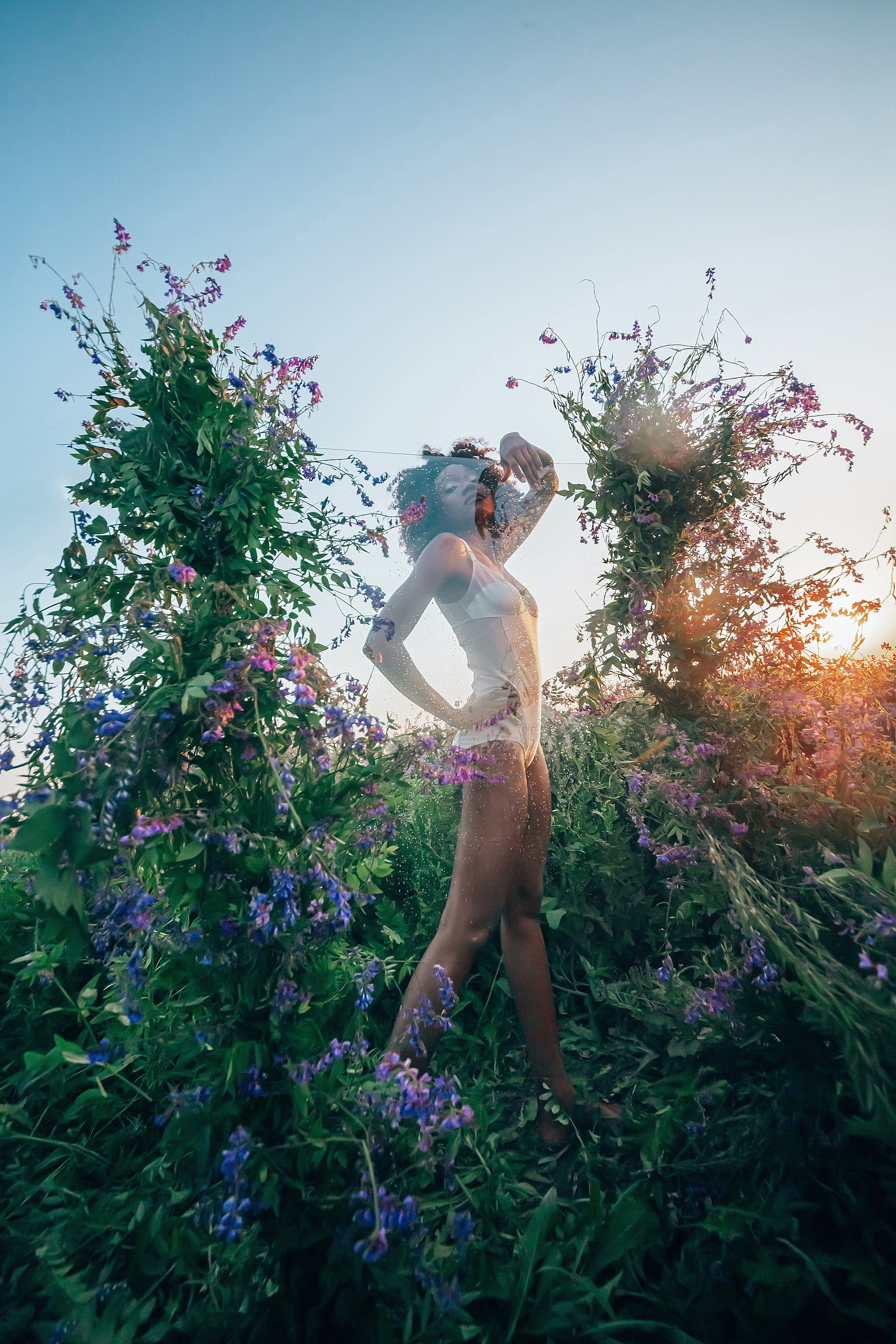 Иван-чай. Фотограф в Красноярске Гетманова Мила