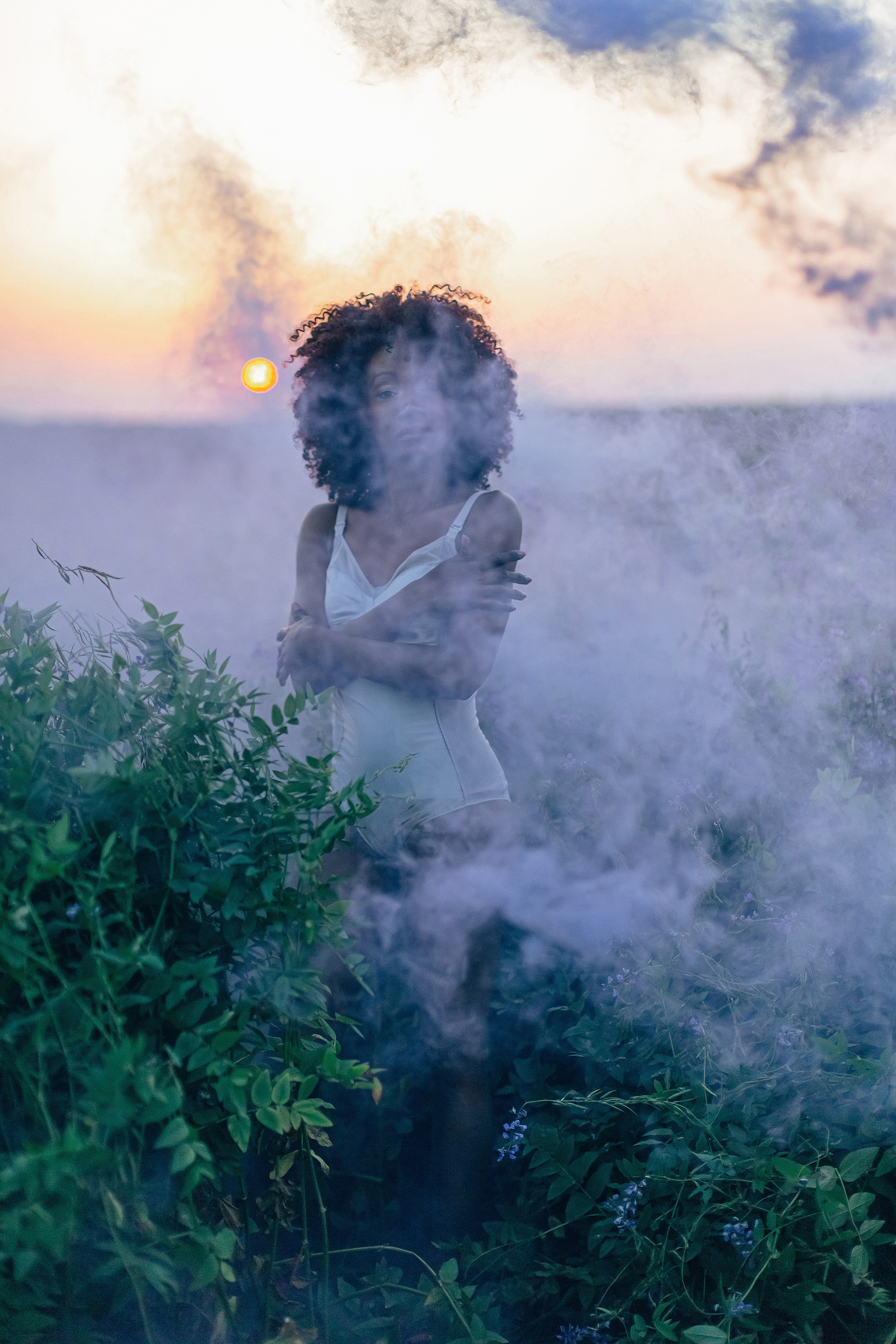 Иван-чай. Фотограф в Красноярске Гетманова Мила