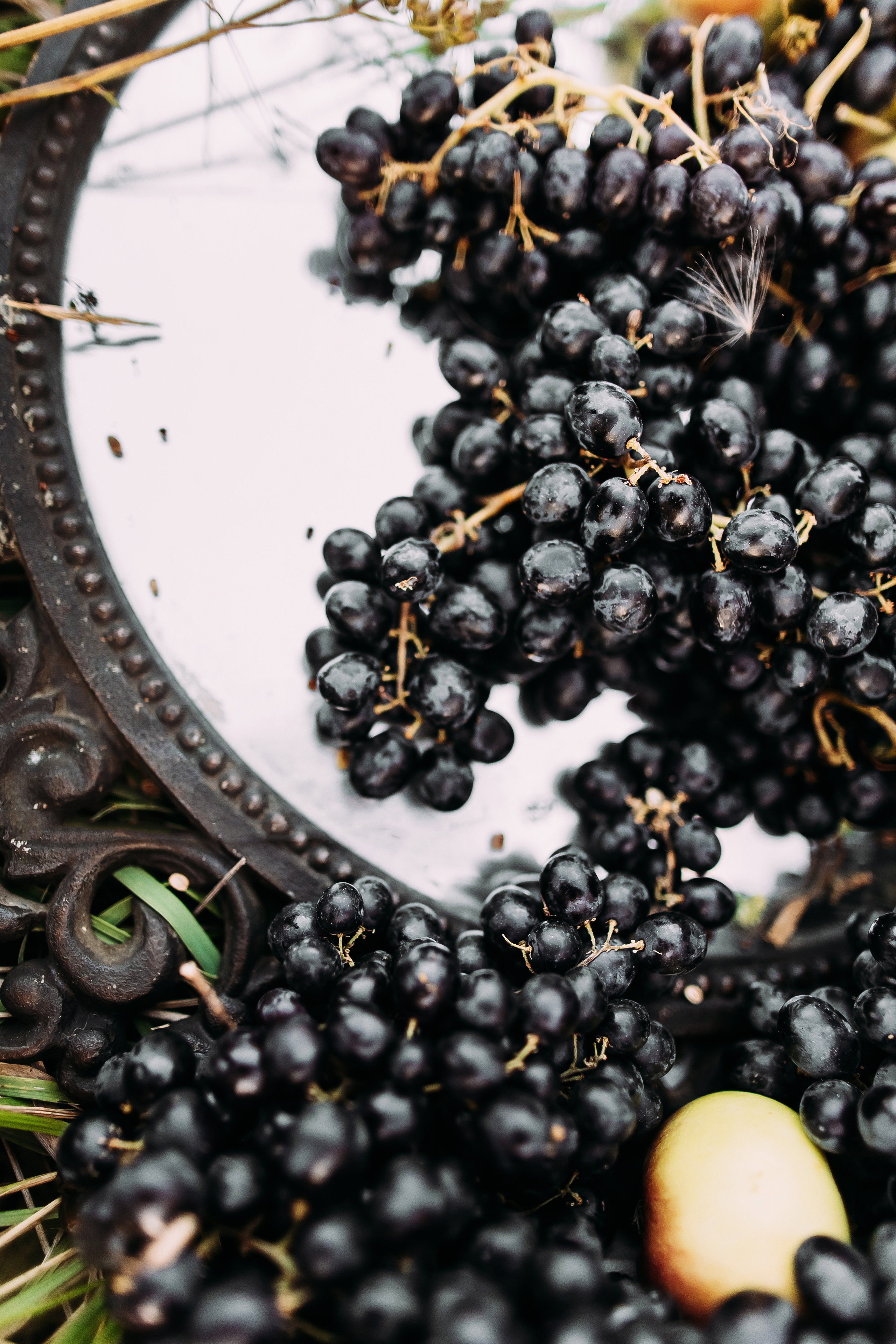 Рыжая. Фотограф в Красноярске Гетманова Мила