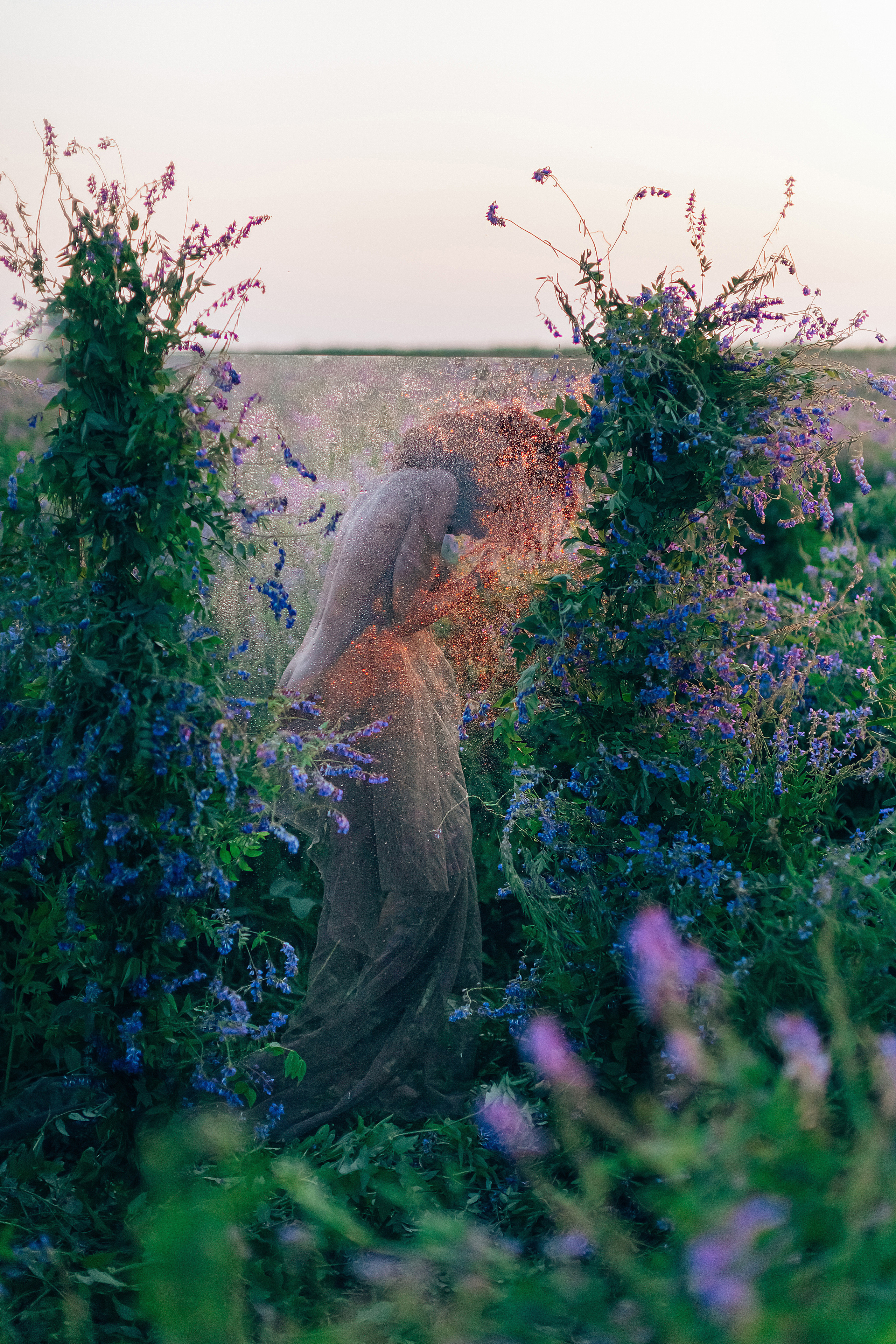 Иван-чай. Фотограф в Красноярске Гетманова Мила