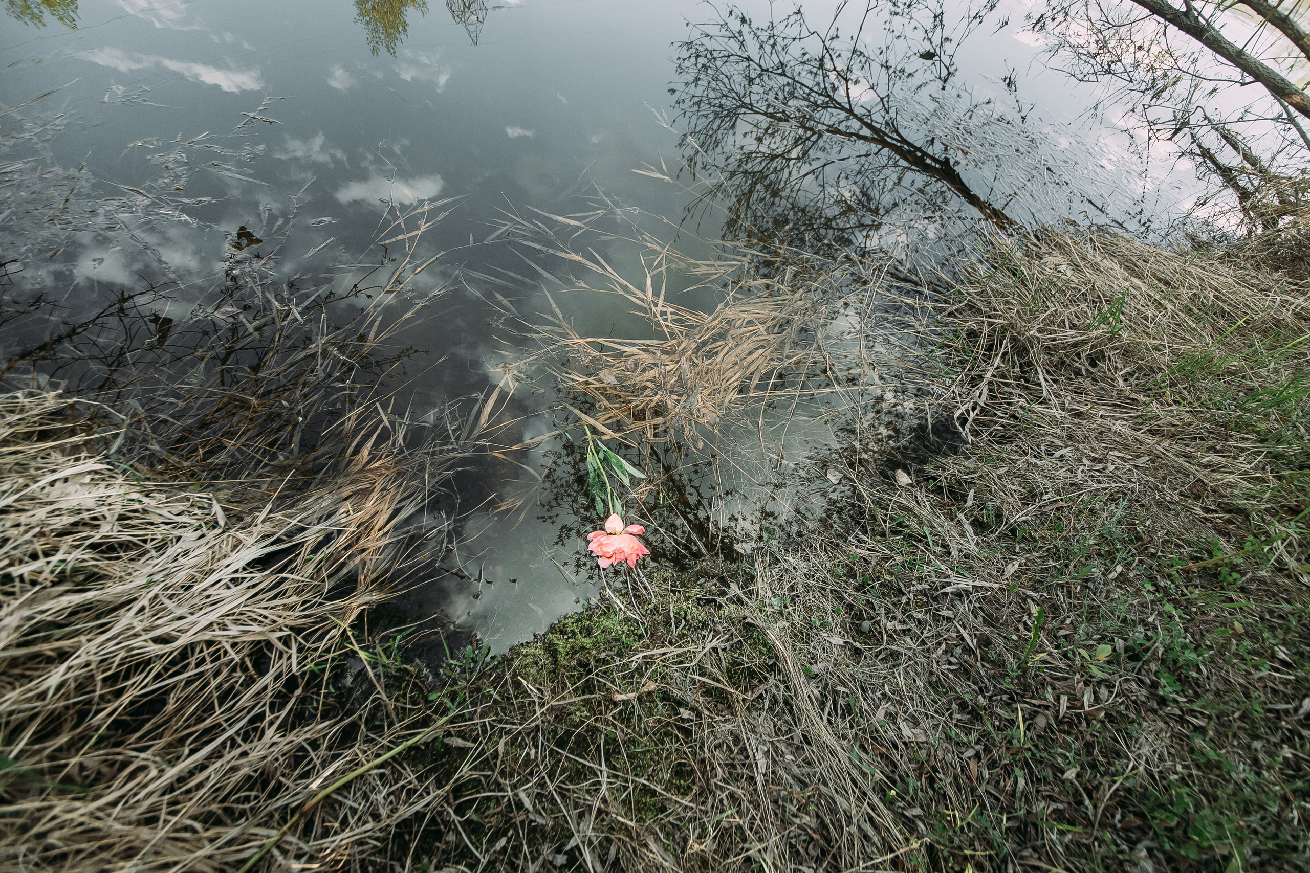 Том Сойер. Фотограф в Красноярске Гетманова Мила