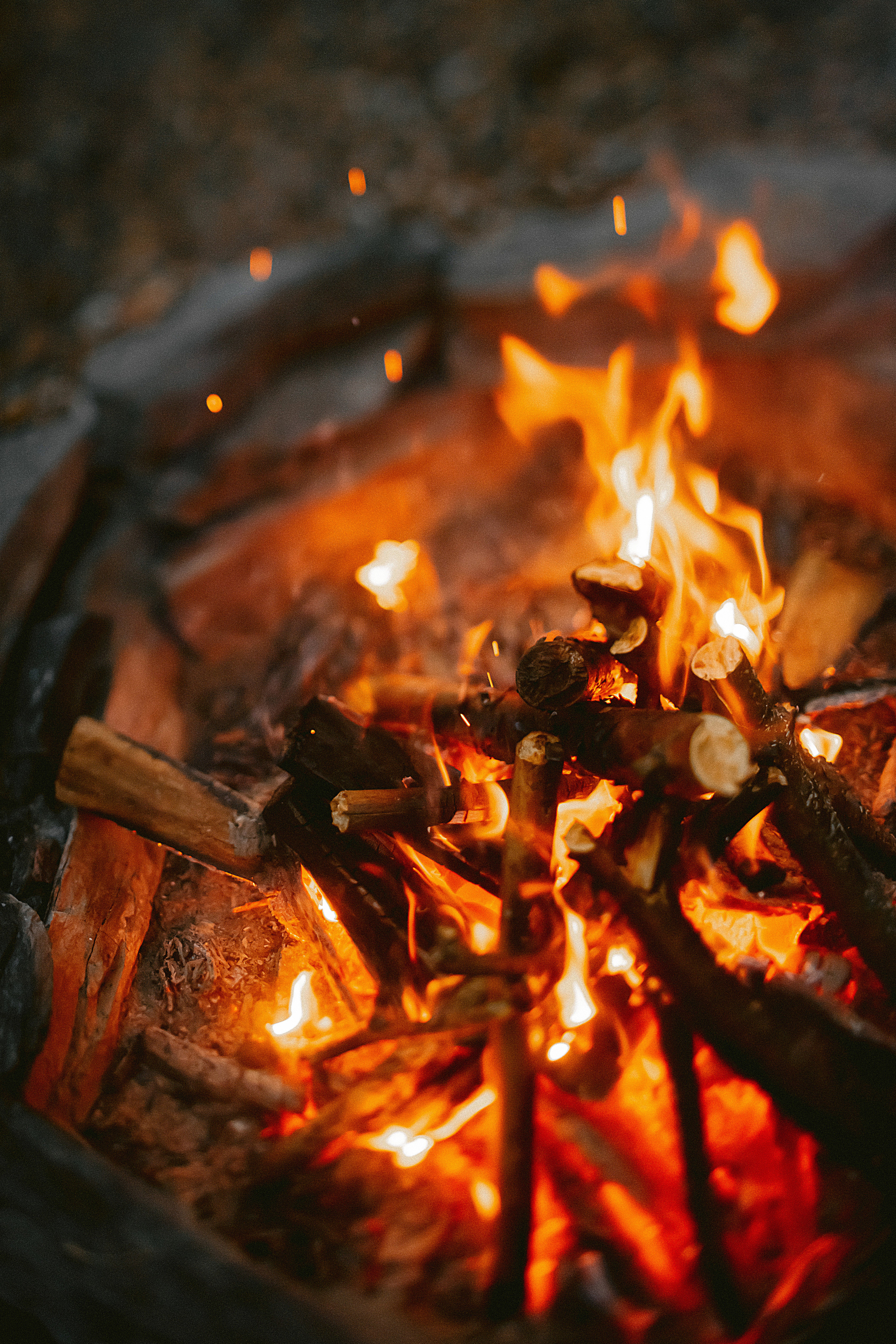 Домик в лесу. Фотограф в Красноярске Гетманова Мила