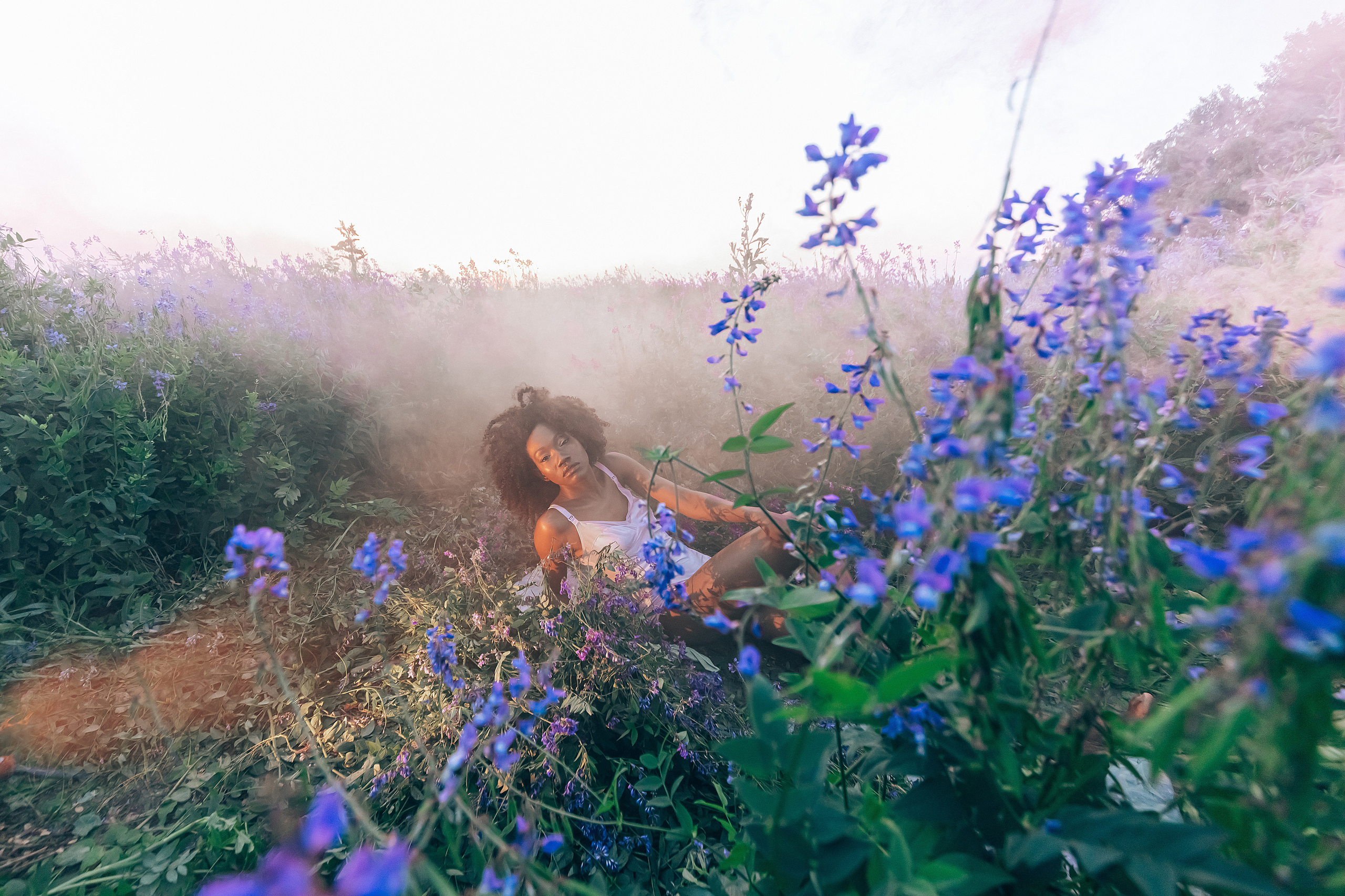 Иван-чай. Фотограф в Красноярске Гетманова Мила