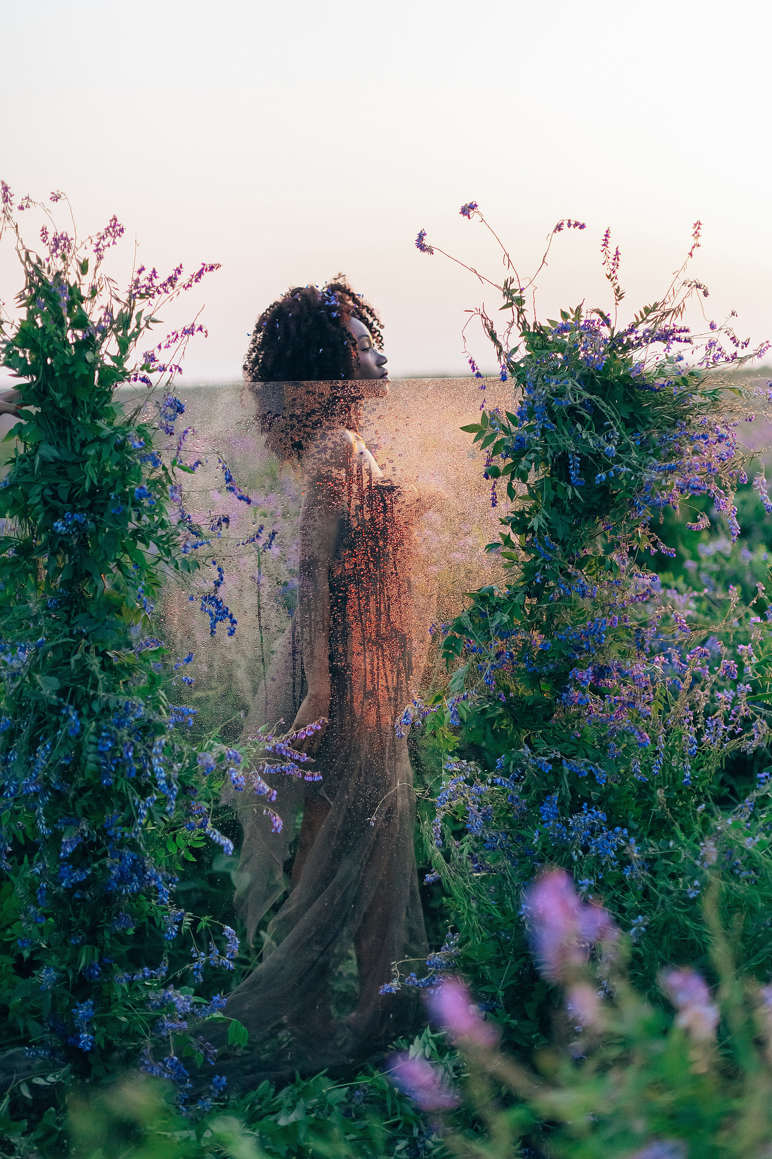 Иван-чай. Фотограф в Красноярске Гетманова Мила