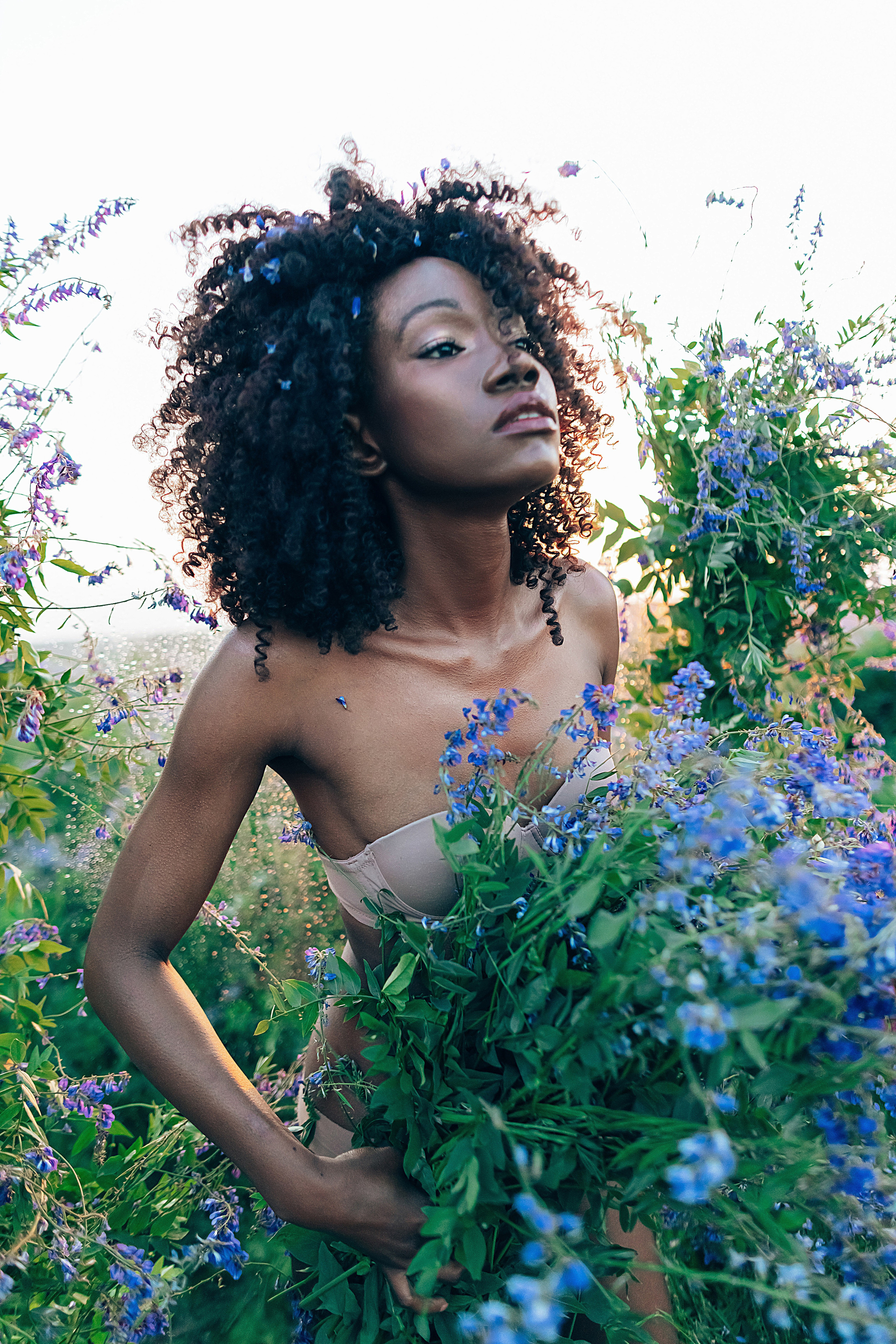 Иван-чай. Фотограф в Красноярске Гетманова Мила