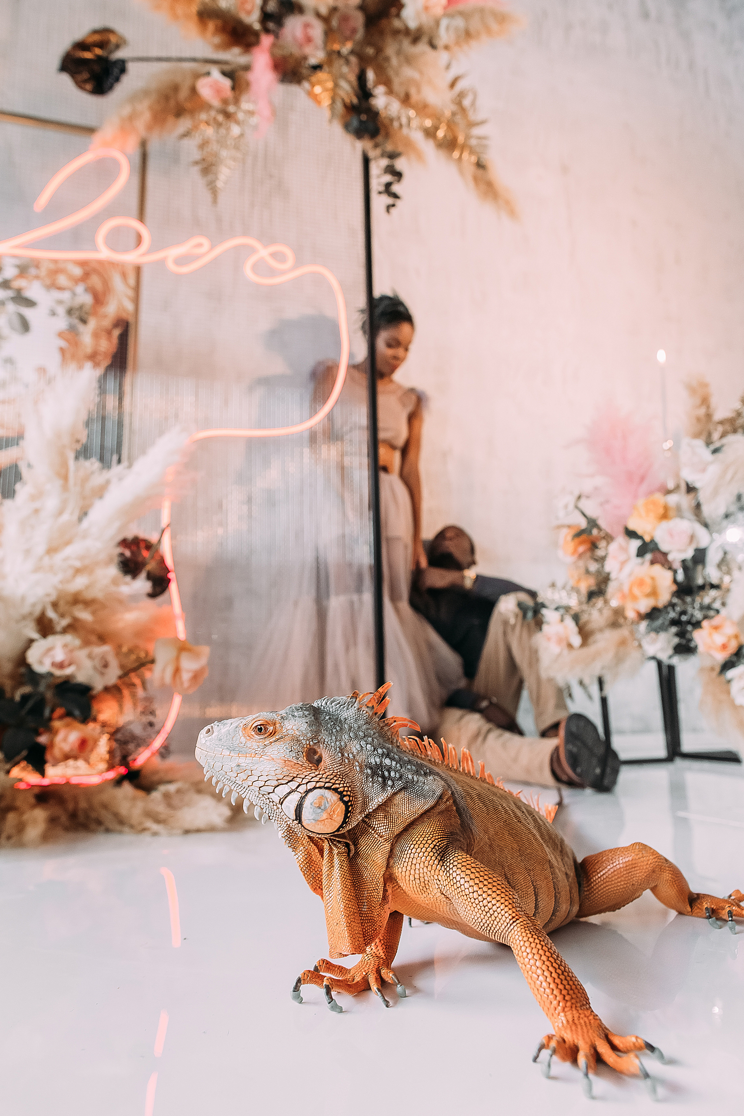 АвроГуччи. Фотограф в Красноярске Гетманова Мила