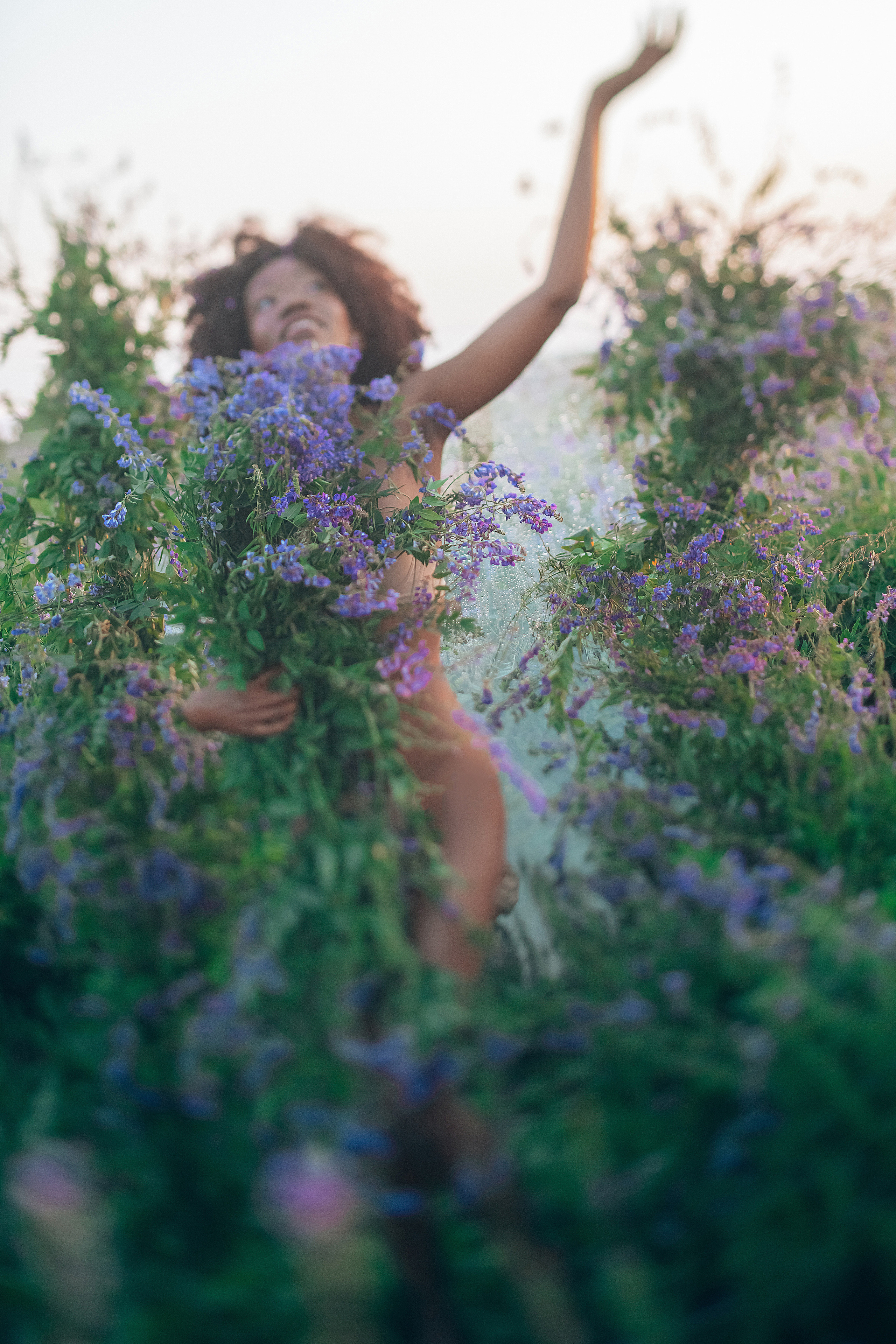 Иван-чай. Фотограф в Красноярске Гетманова Мила