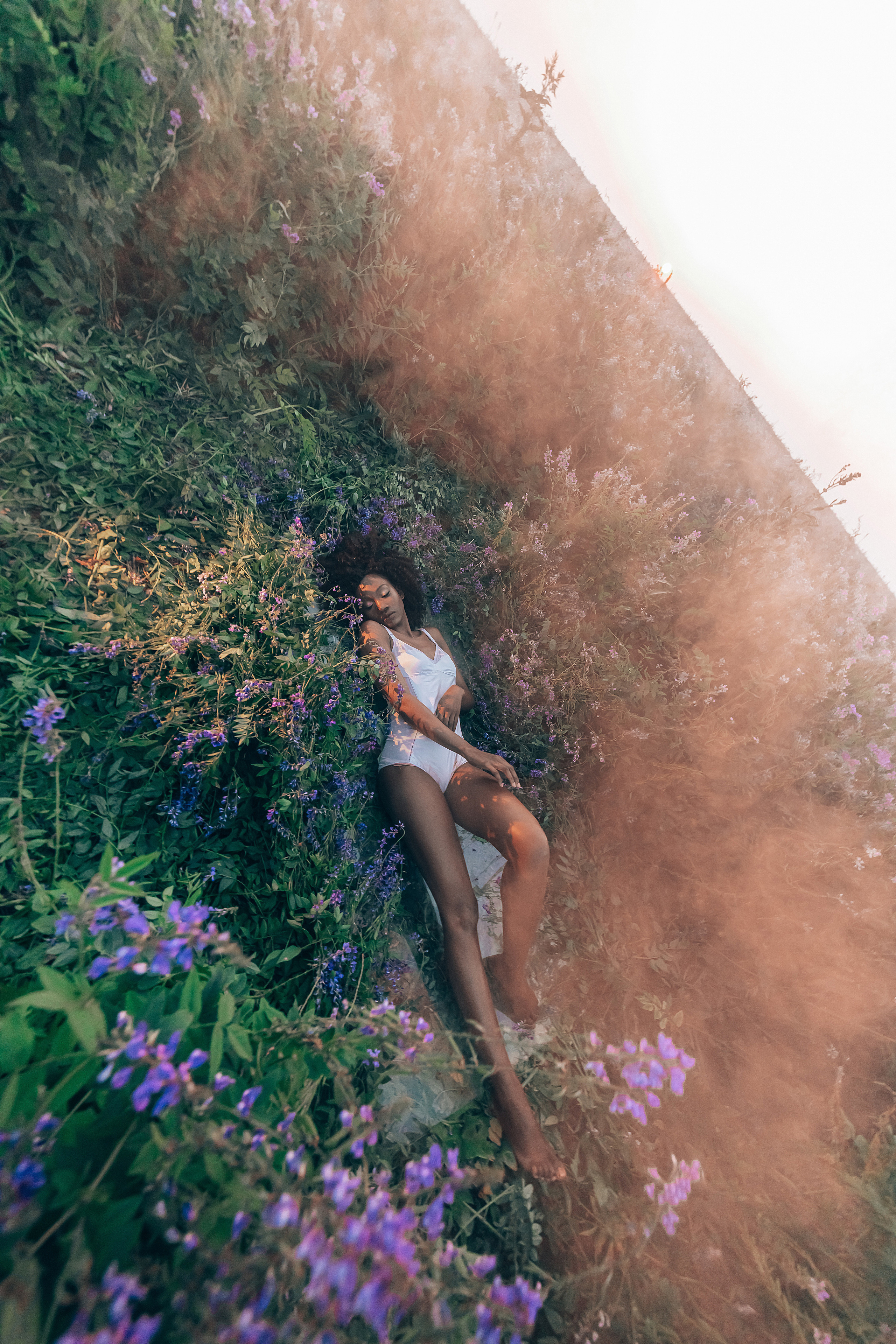 Иван-чай. Фотограф в Красноярске Гетманова Мила