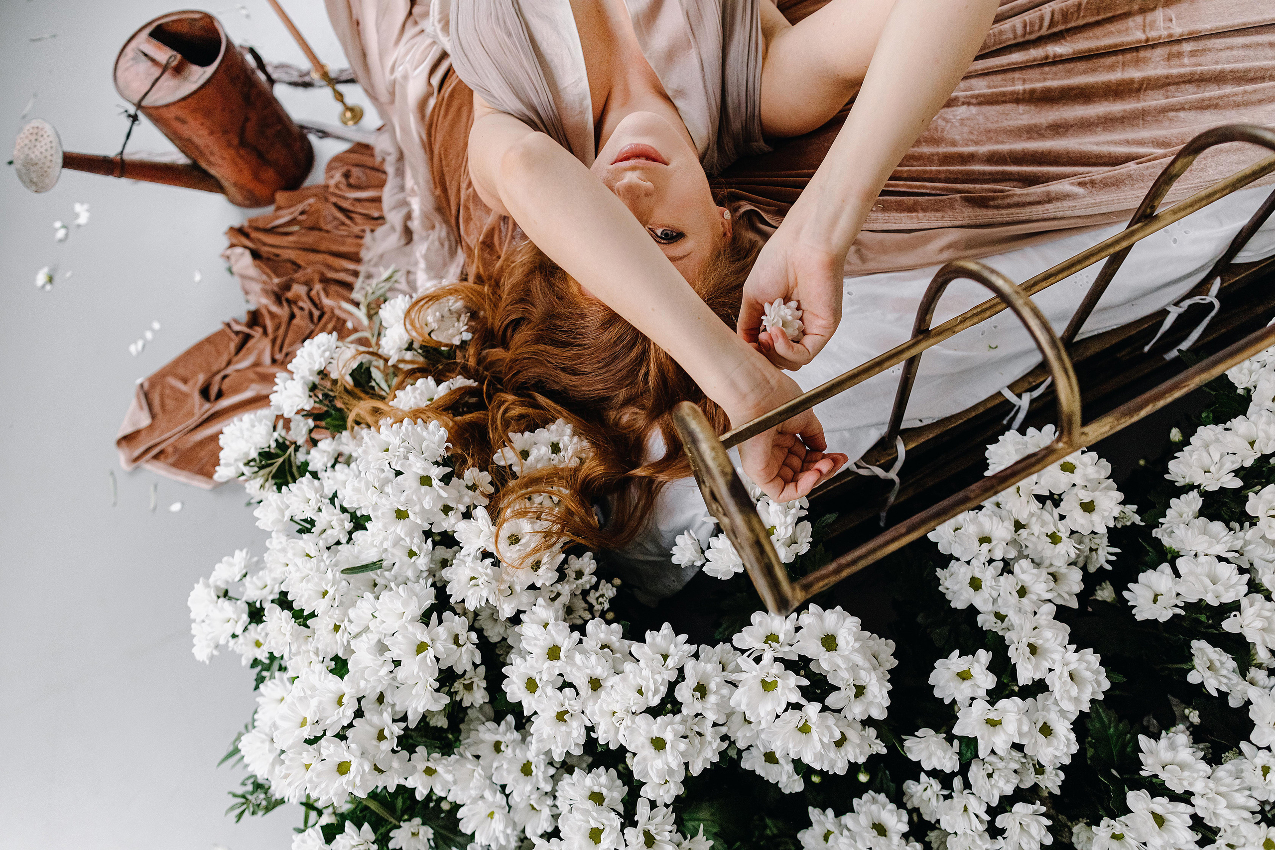 Ромашки. Фотограф в Красноярске Гетманова Мила