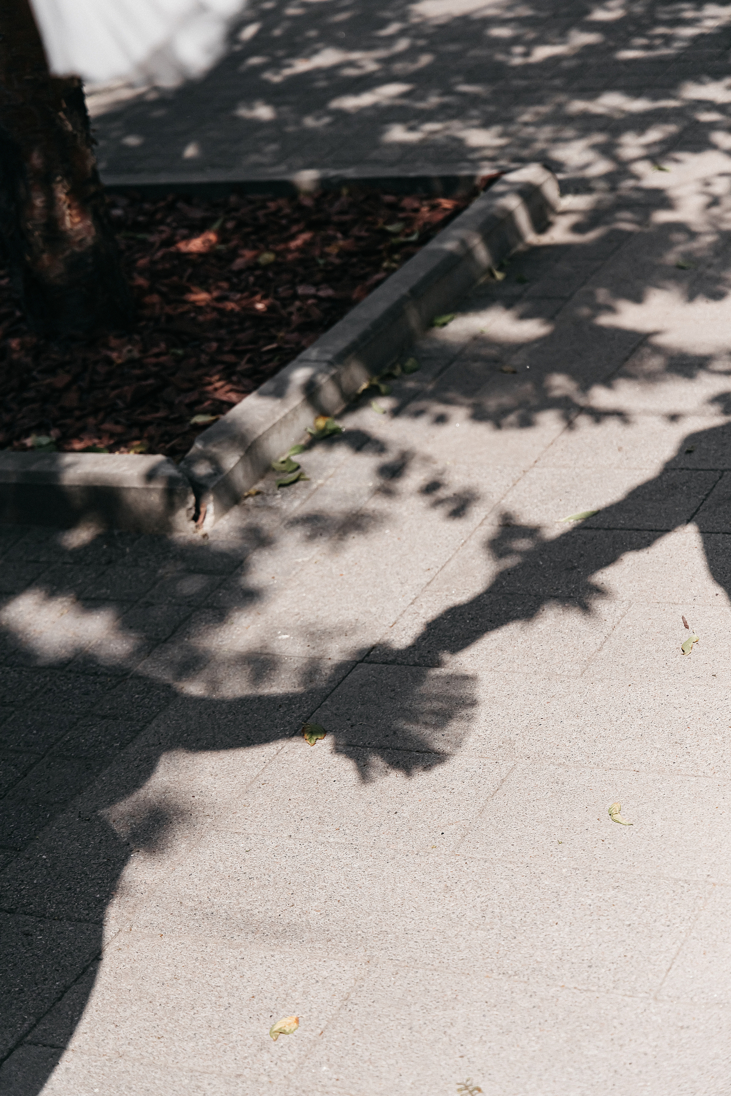 Ирина+Александр. Фотограф в Красноярске Гетманова Мила