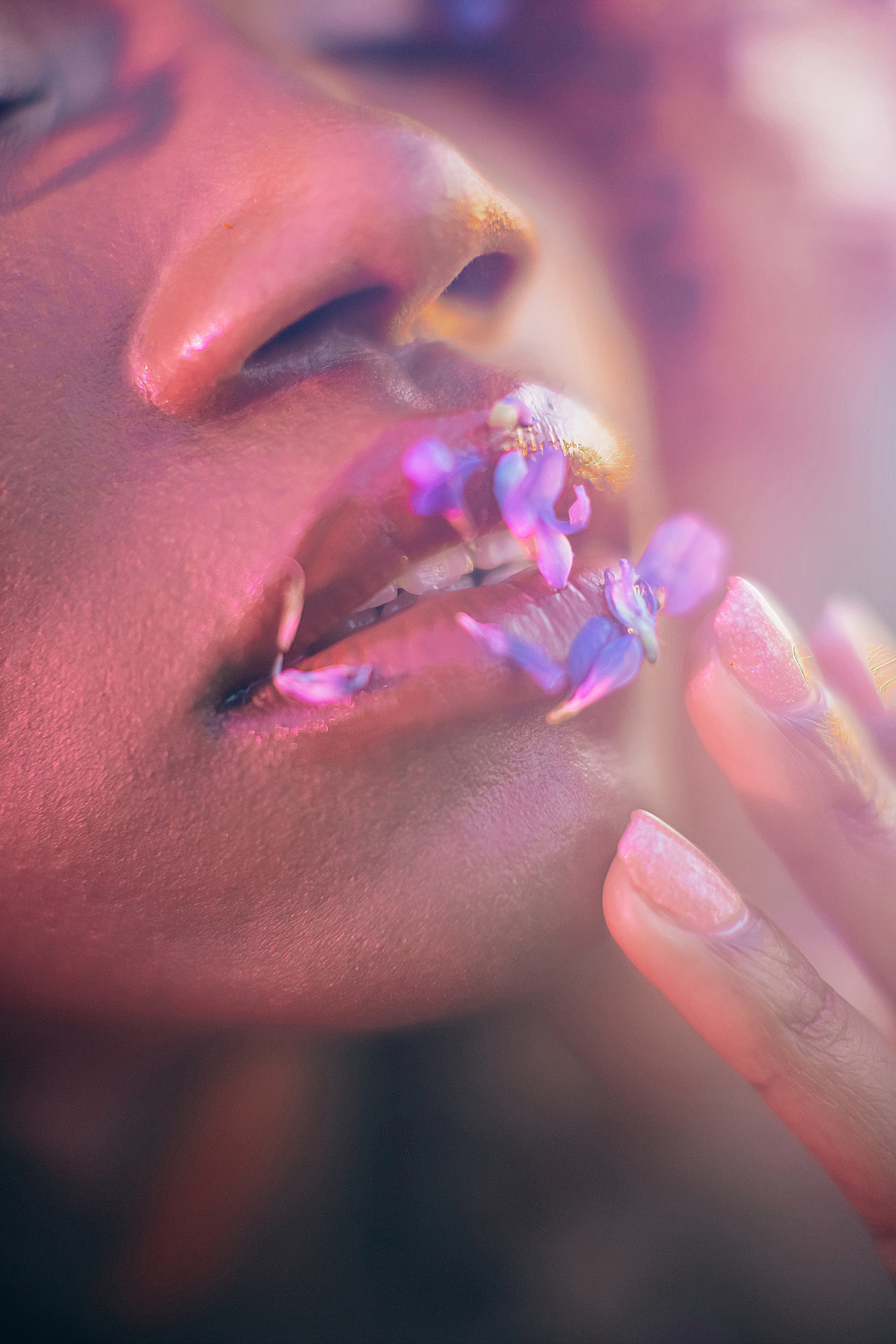 Иван-чай. Фотограф в Красноярске Гетманова Мила