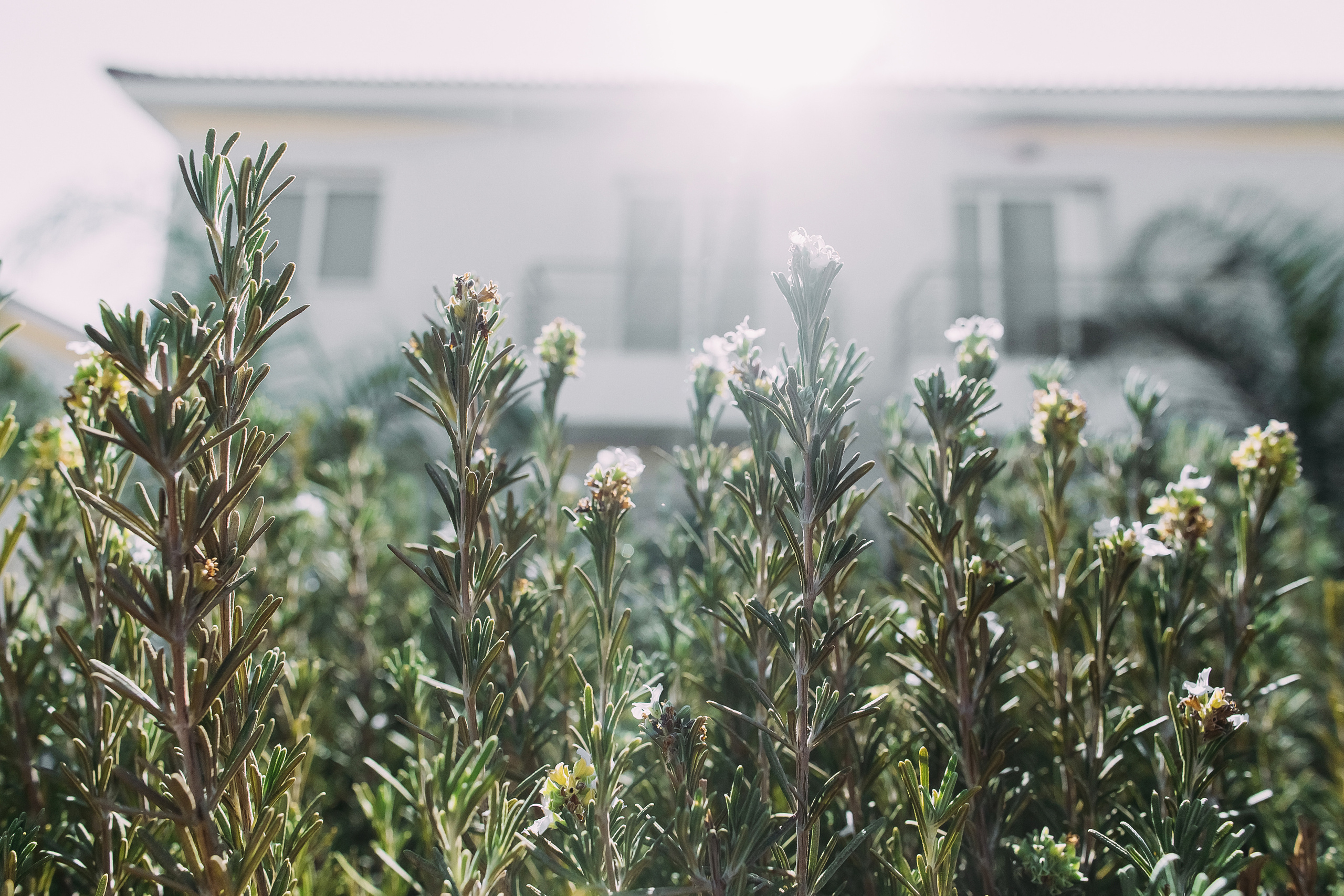 Катерина+Александр. Кипр. Фотограф в Красноярске Гетманова Мила