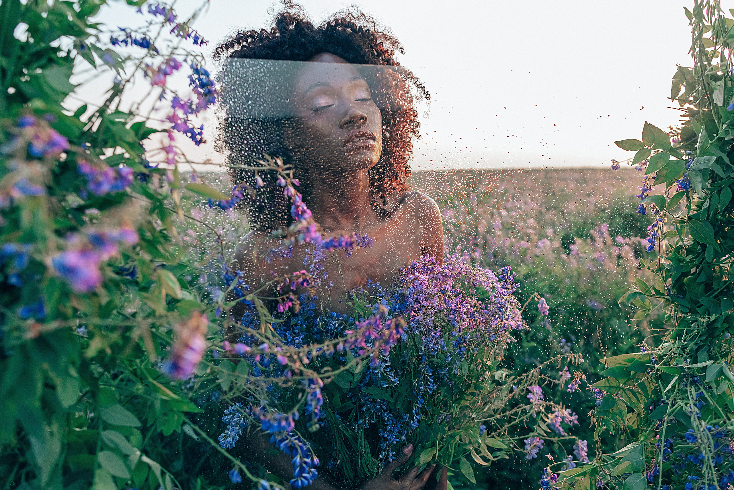 Иван-чай. Фотограф в Красноярске Гетманова Мила