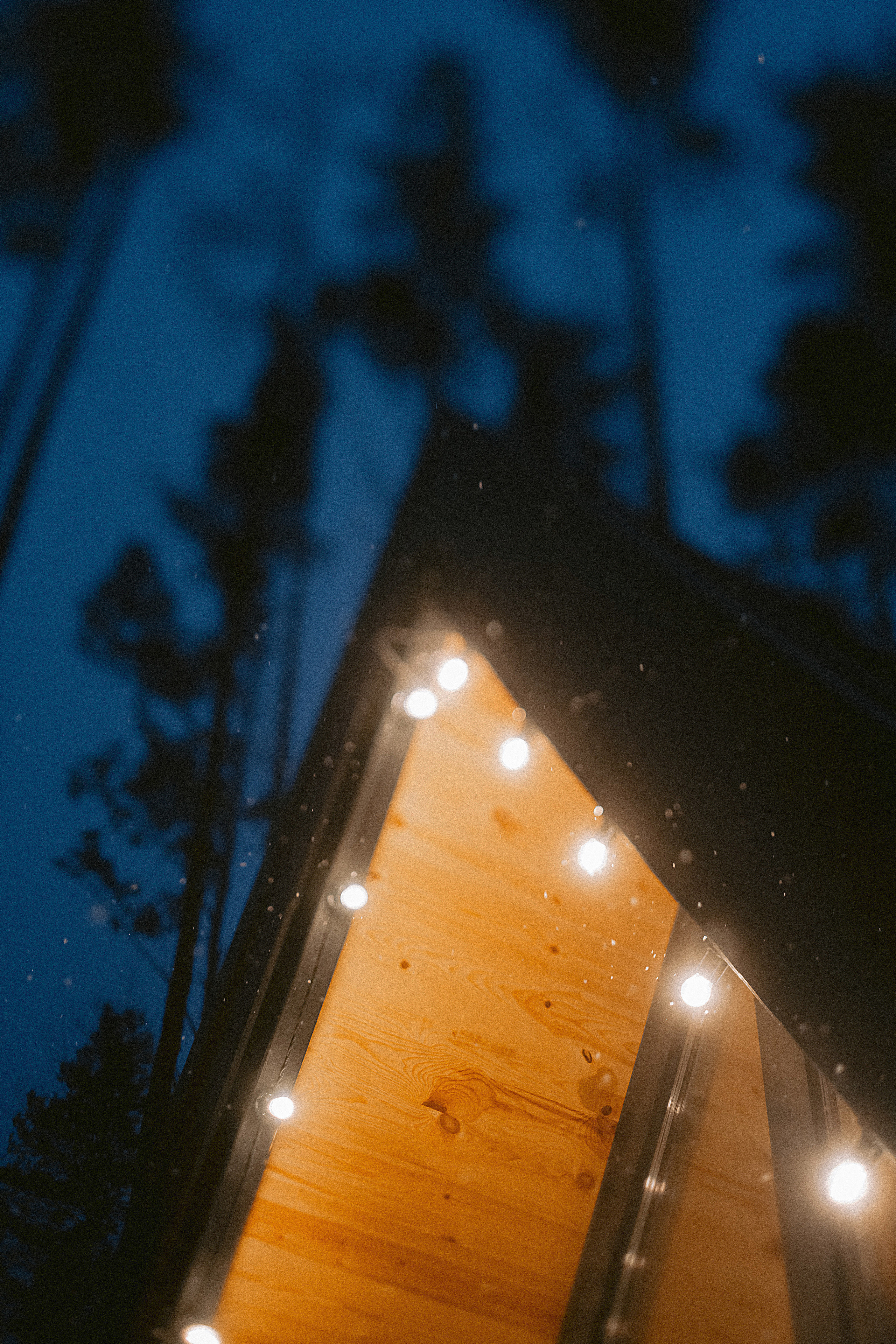 Домик в лесу. Фотограф в Красноярске Гетманова Мила