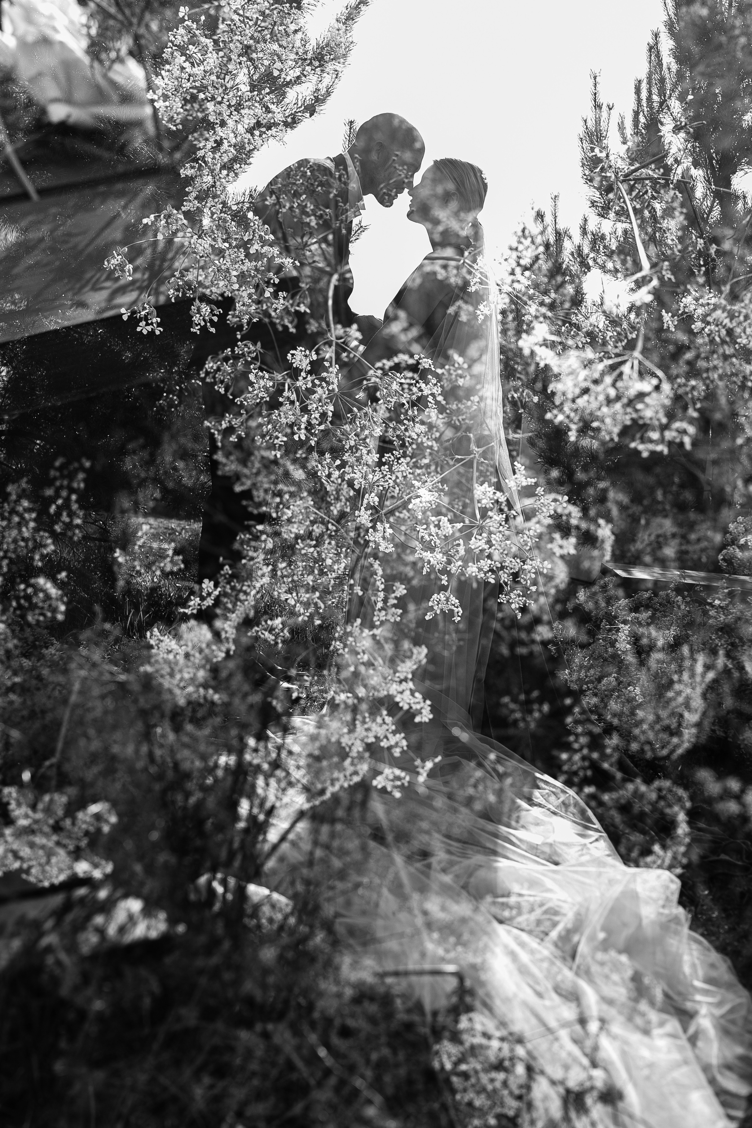 Татьяна+Иван. Фотограф в Красноярске Гетманова Мила