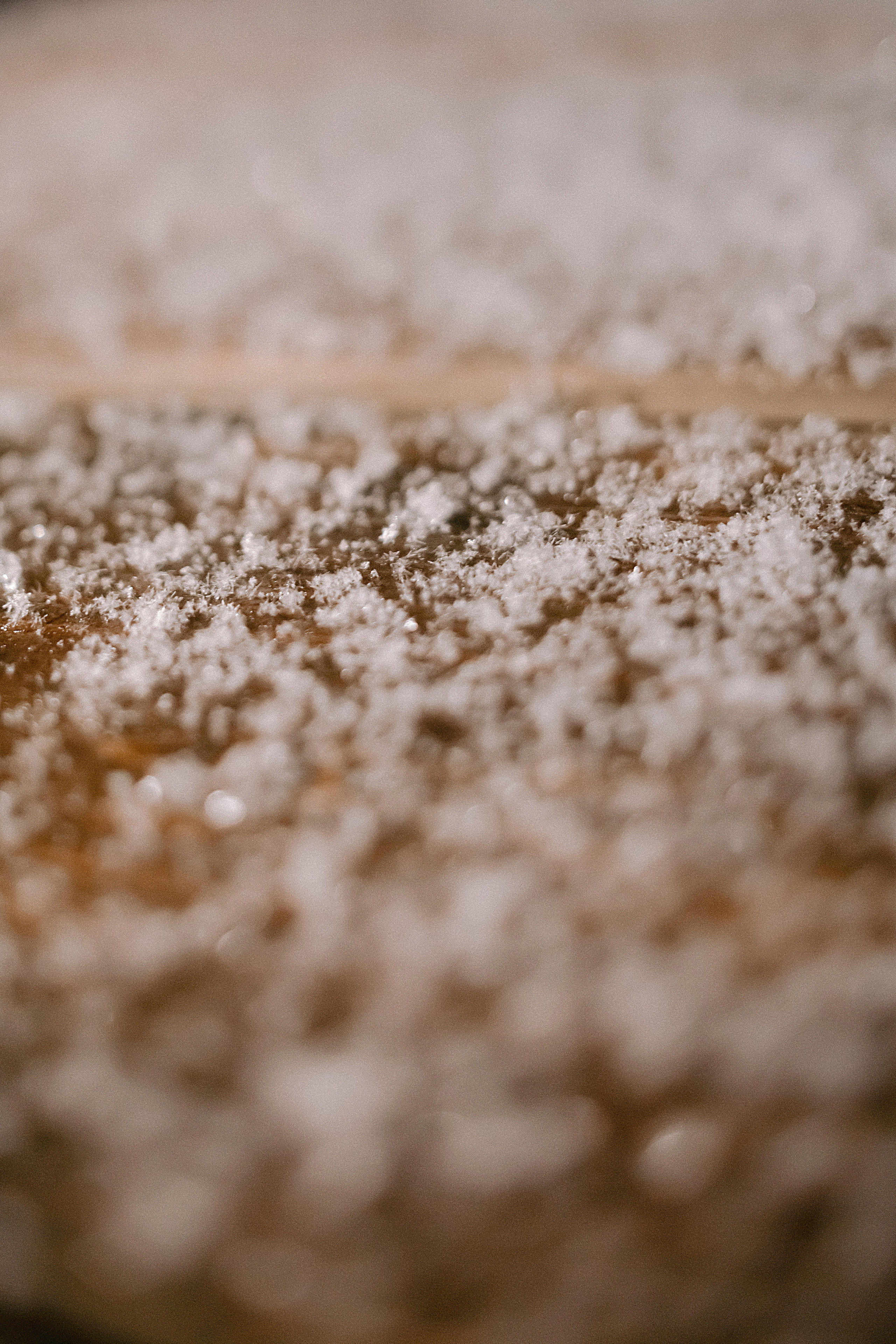 Домик в лесу. Фотограф в Красноярске Гетманова Мила