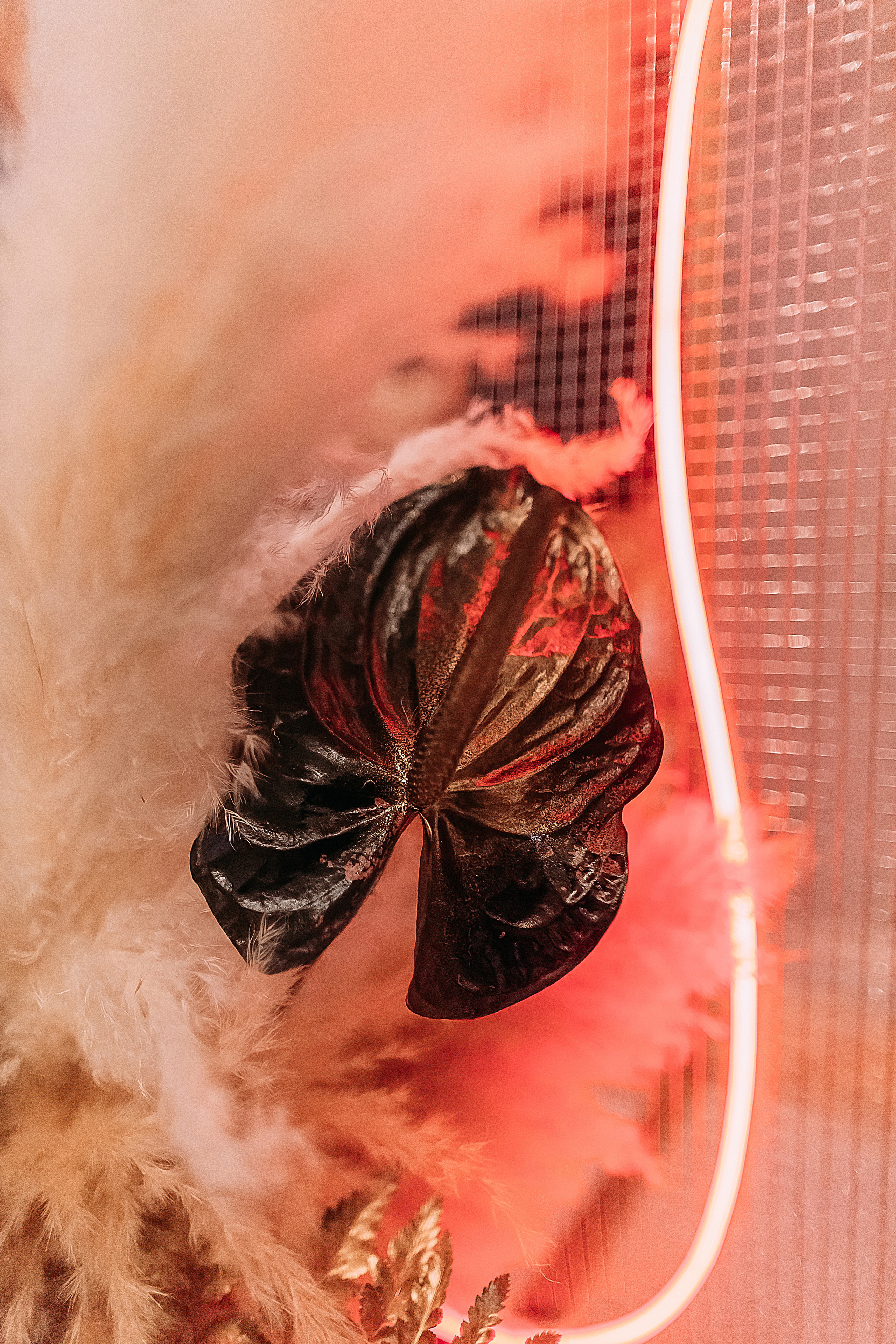 АвроГуччи. Фотограф в Красноярске Гетманова Мила