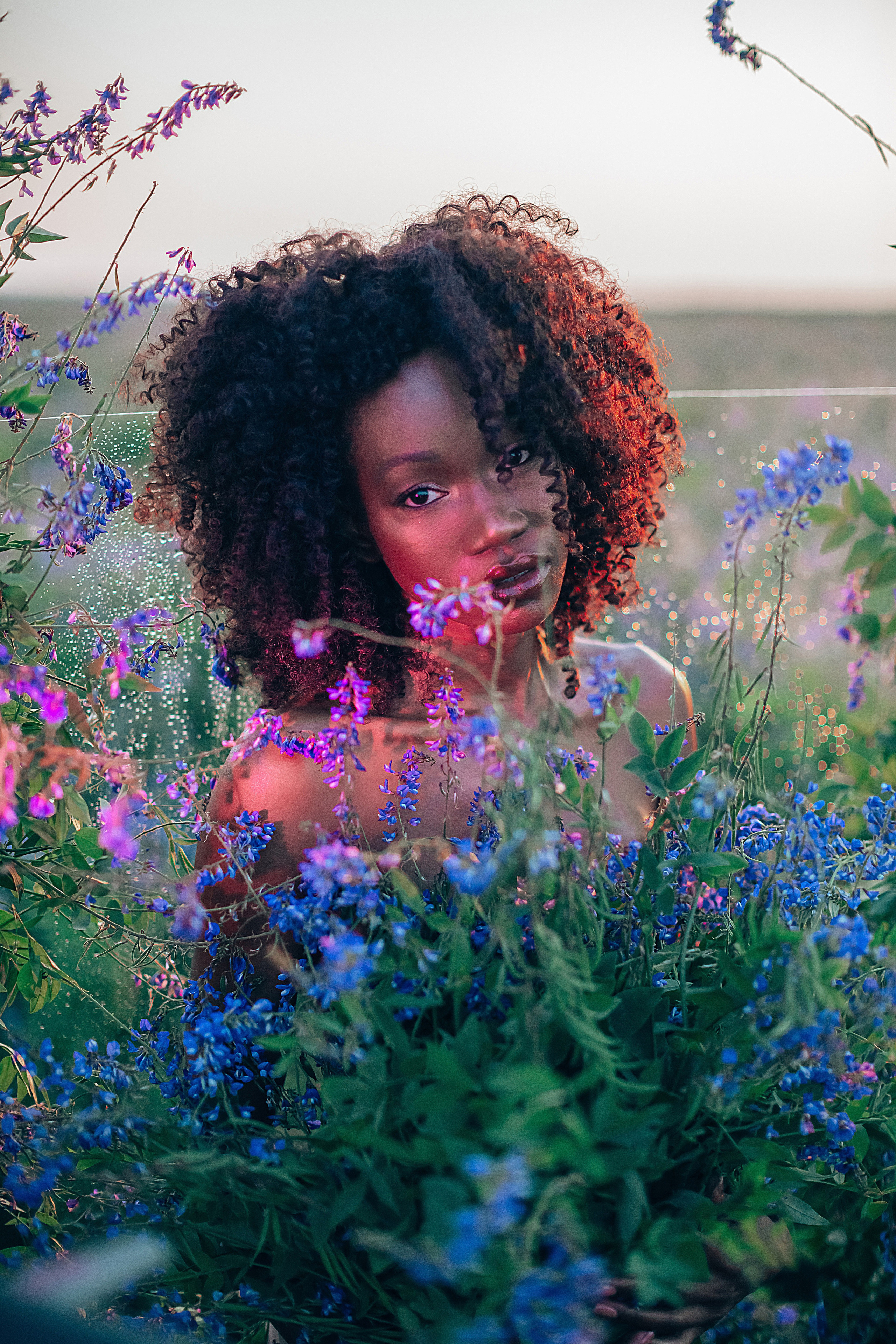 Иван-чай. Фотограф в Красноярске Гетманова Мила