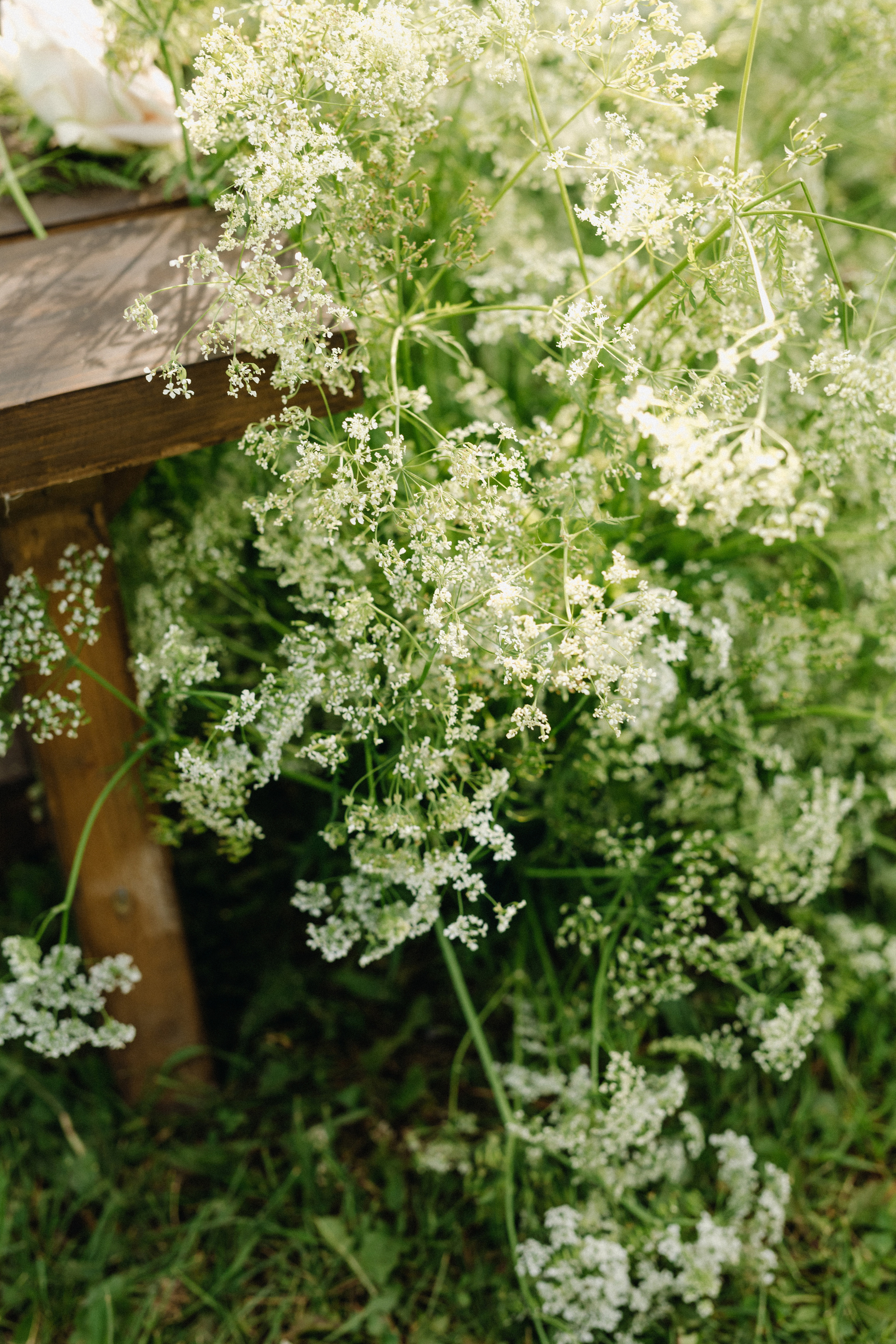 Татьяна+Иван. Фотограф в Красноярске Гетманова Мила