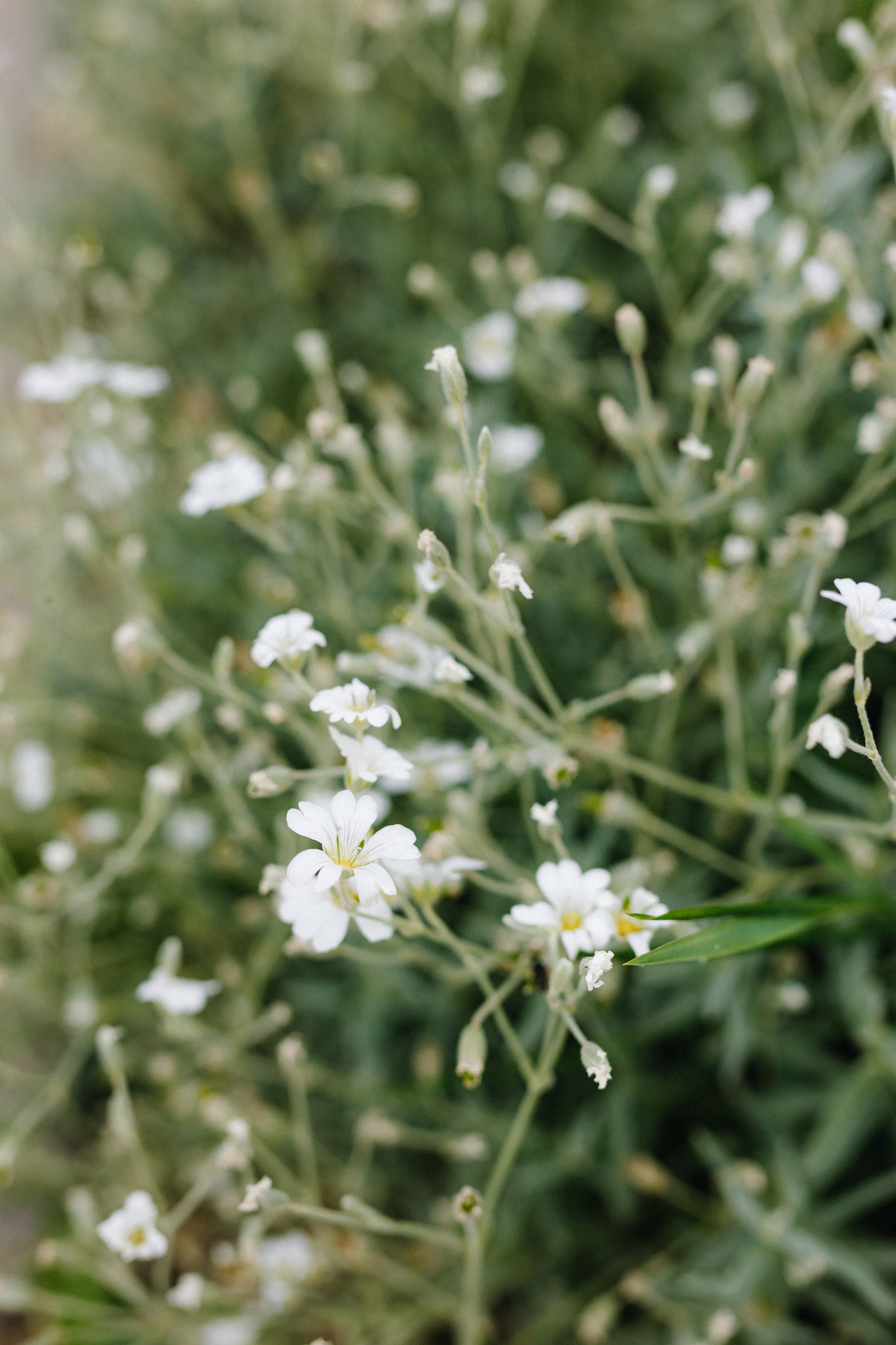 Татьяна+Иван. Фотограф в Красноярске Гетманова Мила