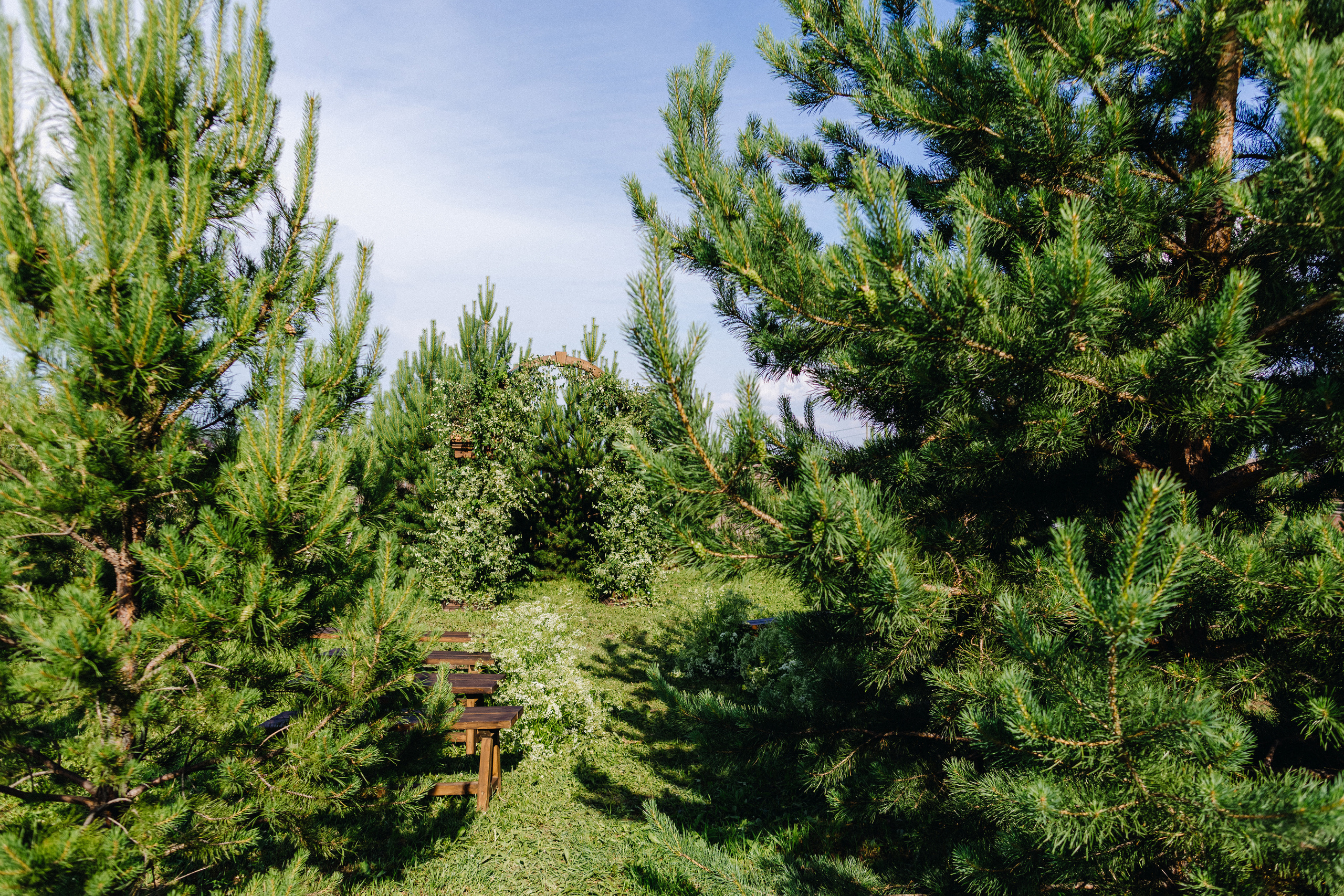 Татьяна+Иван. Фотограф в Красноярске Гетманова Мила
