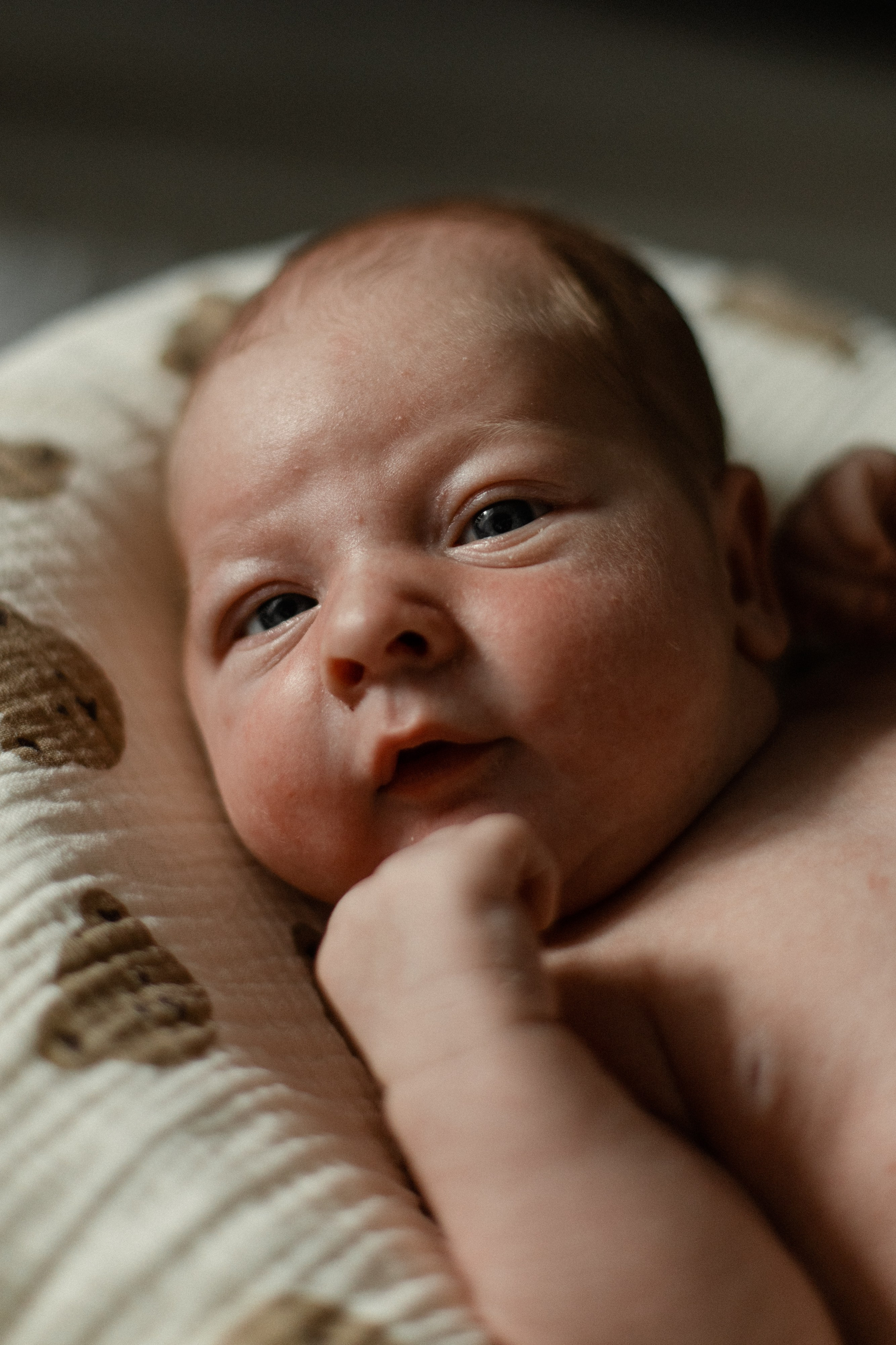 Маленький Евгений. Семейный фотограф Челябинск