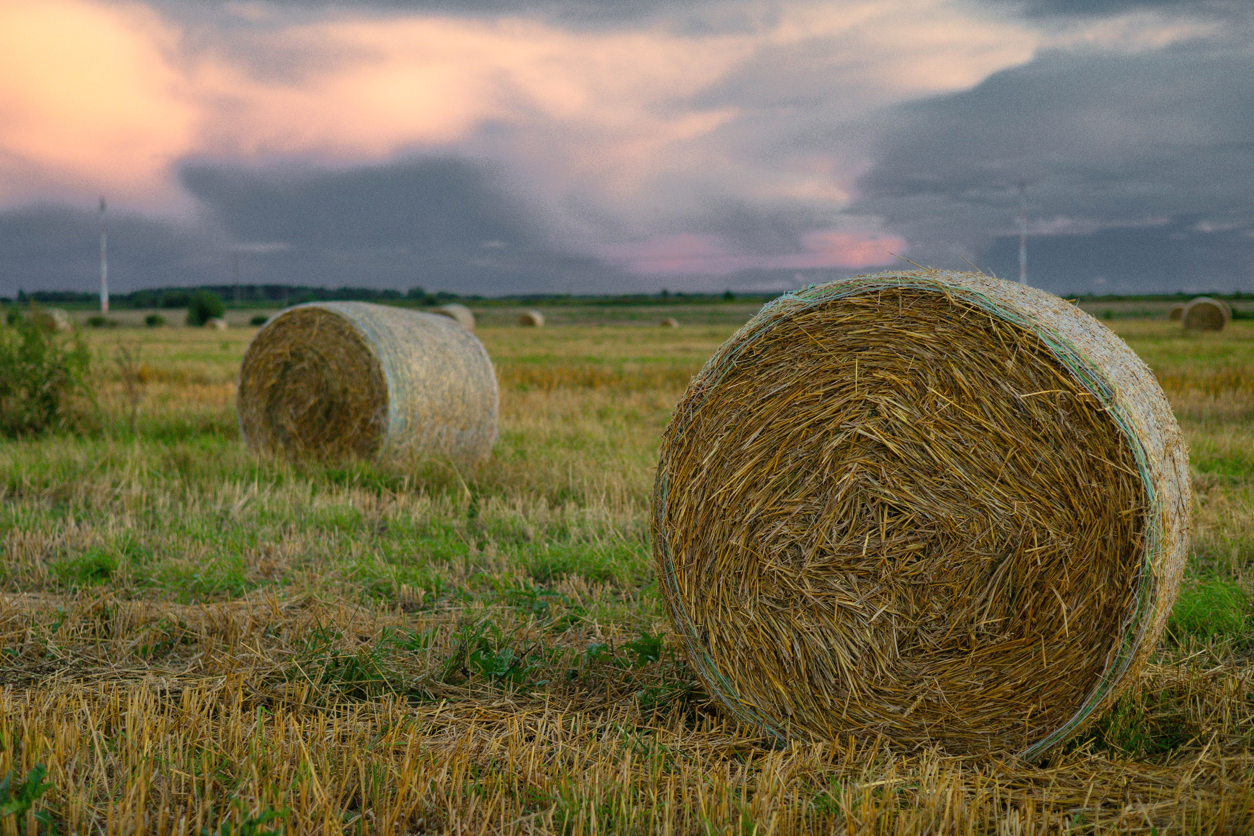 Анастасия. Закат в поле. Портретный фотограф Панферова Регина г. Санкт-Петербург, г. Казань