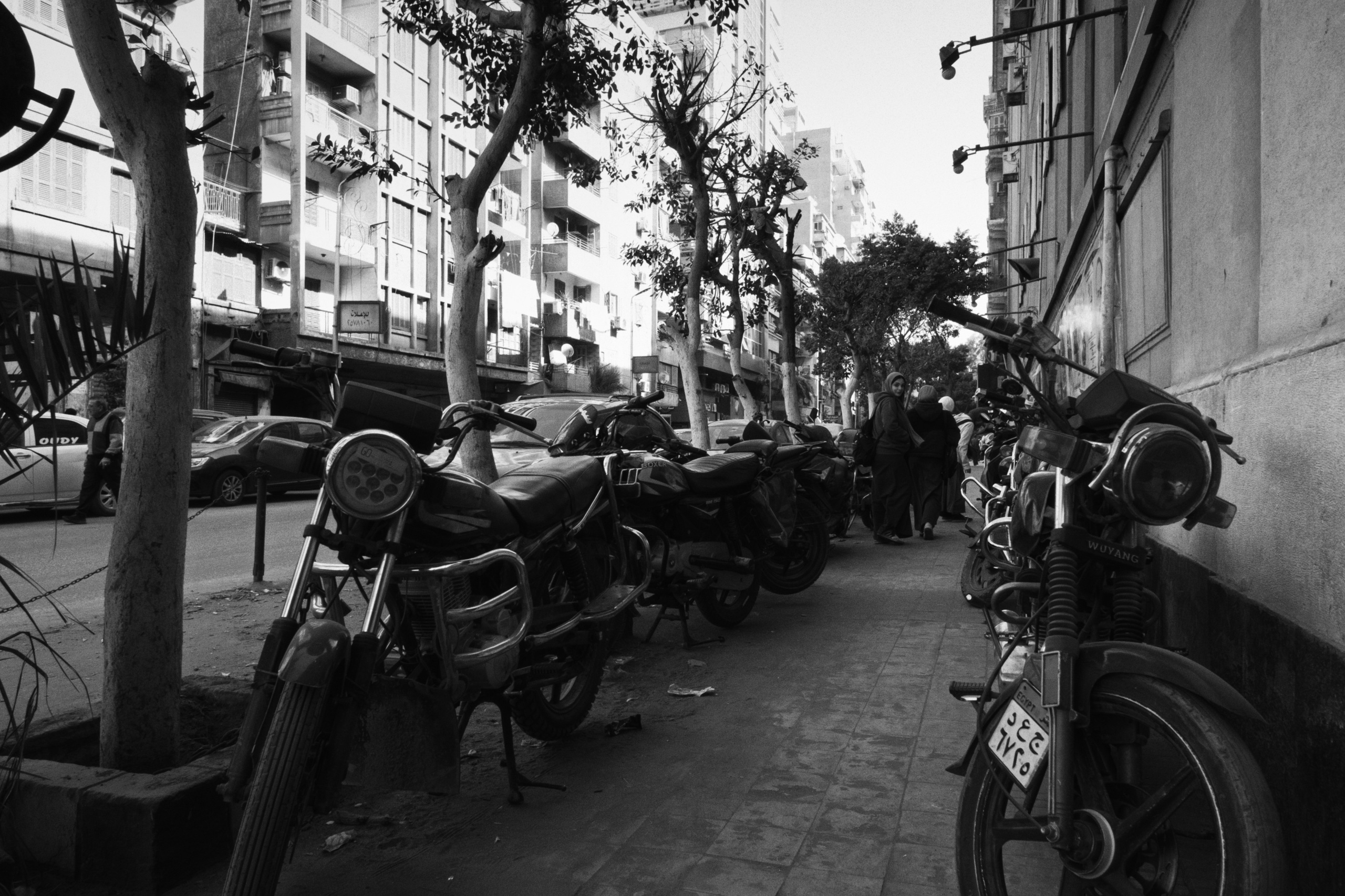 Cairo / Egypt AW25. Фотограф Юрин Евгений