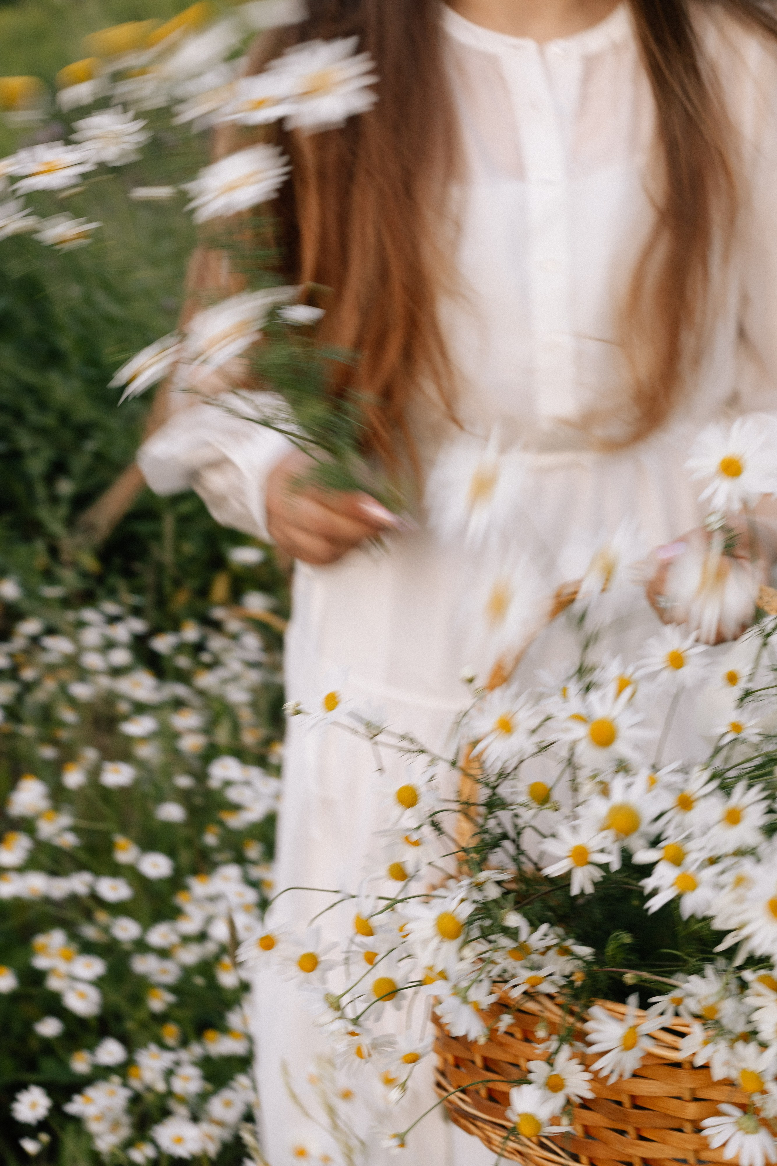 В ромашках — Алена. Свадебный фотограф в Нижнем Новгороде Генеральская Ира