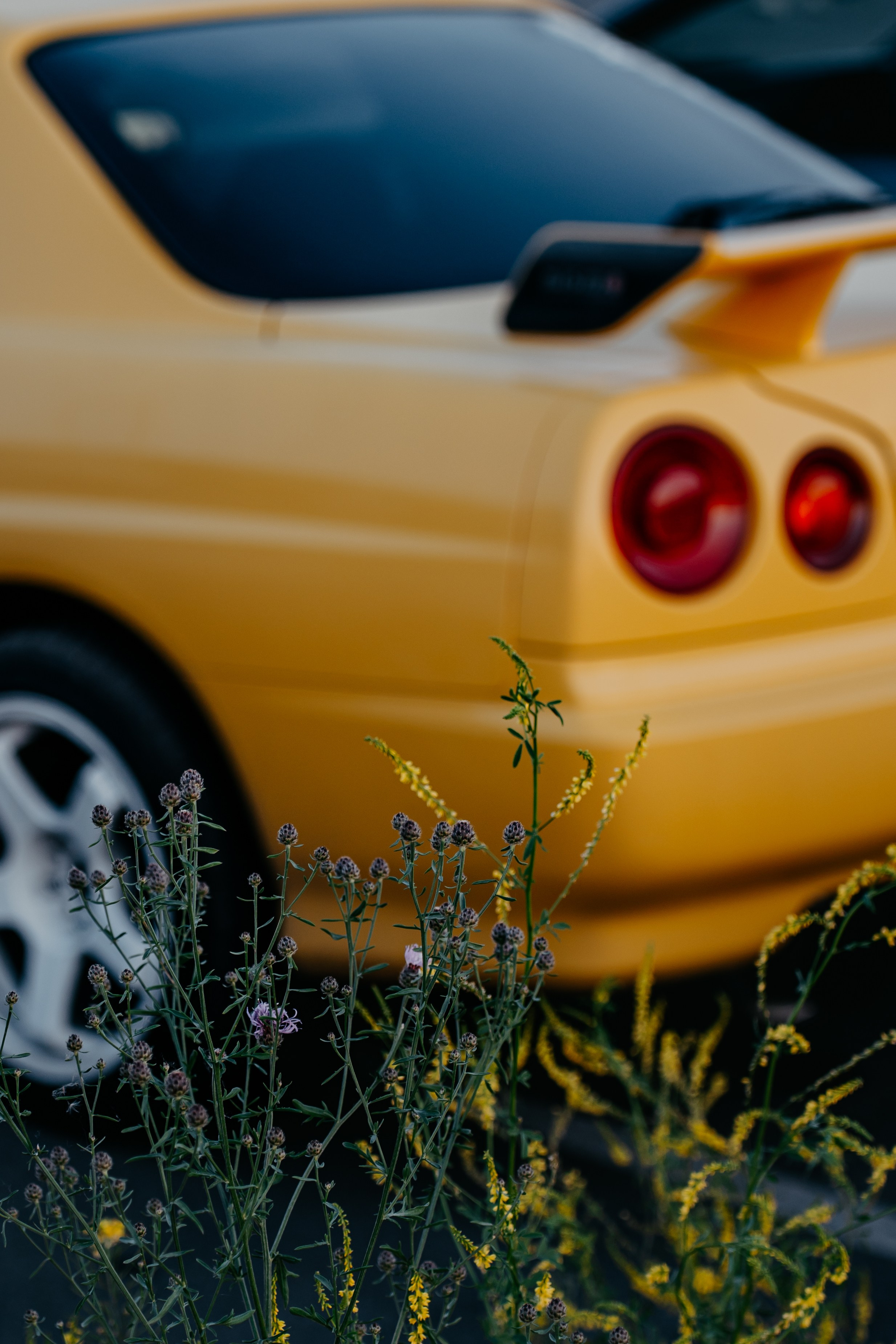 Nissan Skyline 25'. Фотограф, видеограф и пилот дрона на Байкале