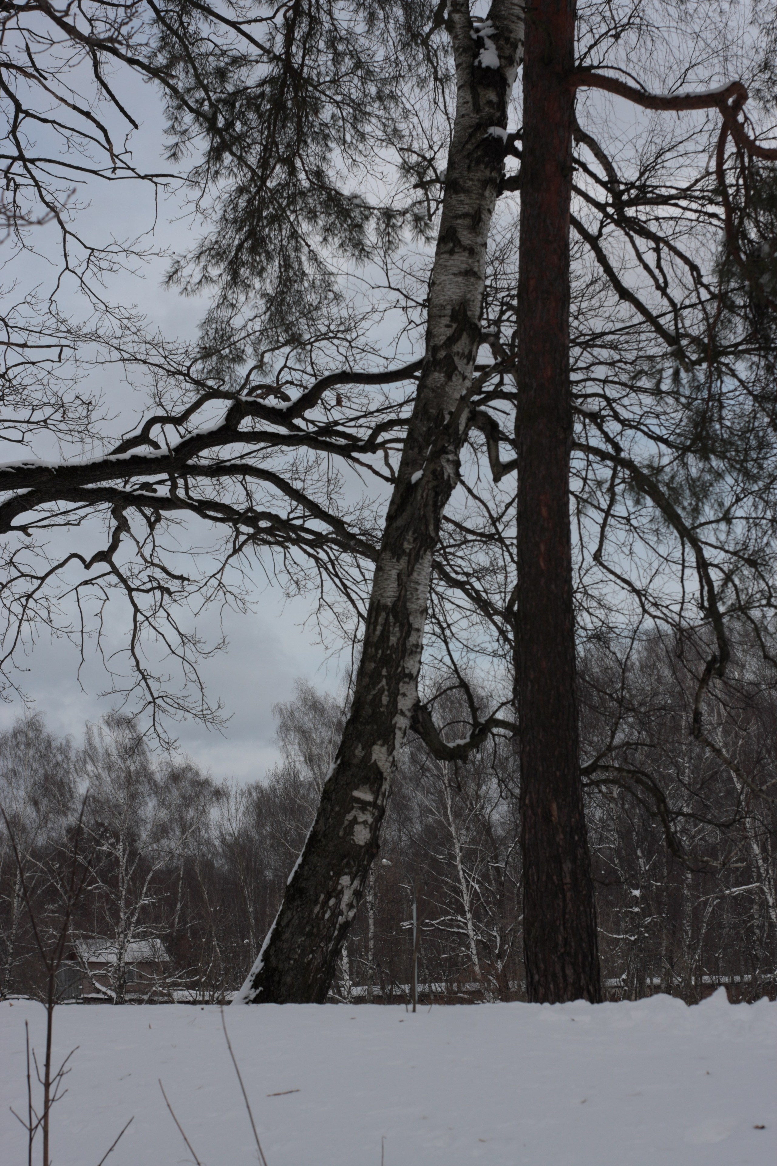 Старое природное, отбирала Katamount (Катерина Горохова). Главная