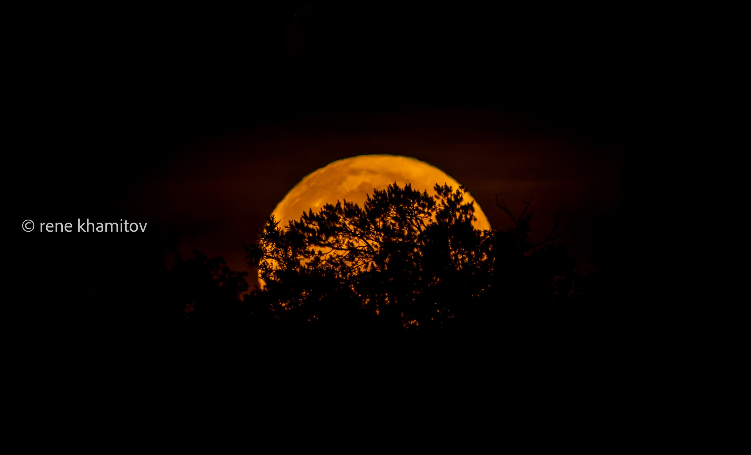 Rising moon over my village. Pictures of Rene Khamitov