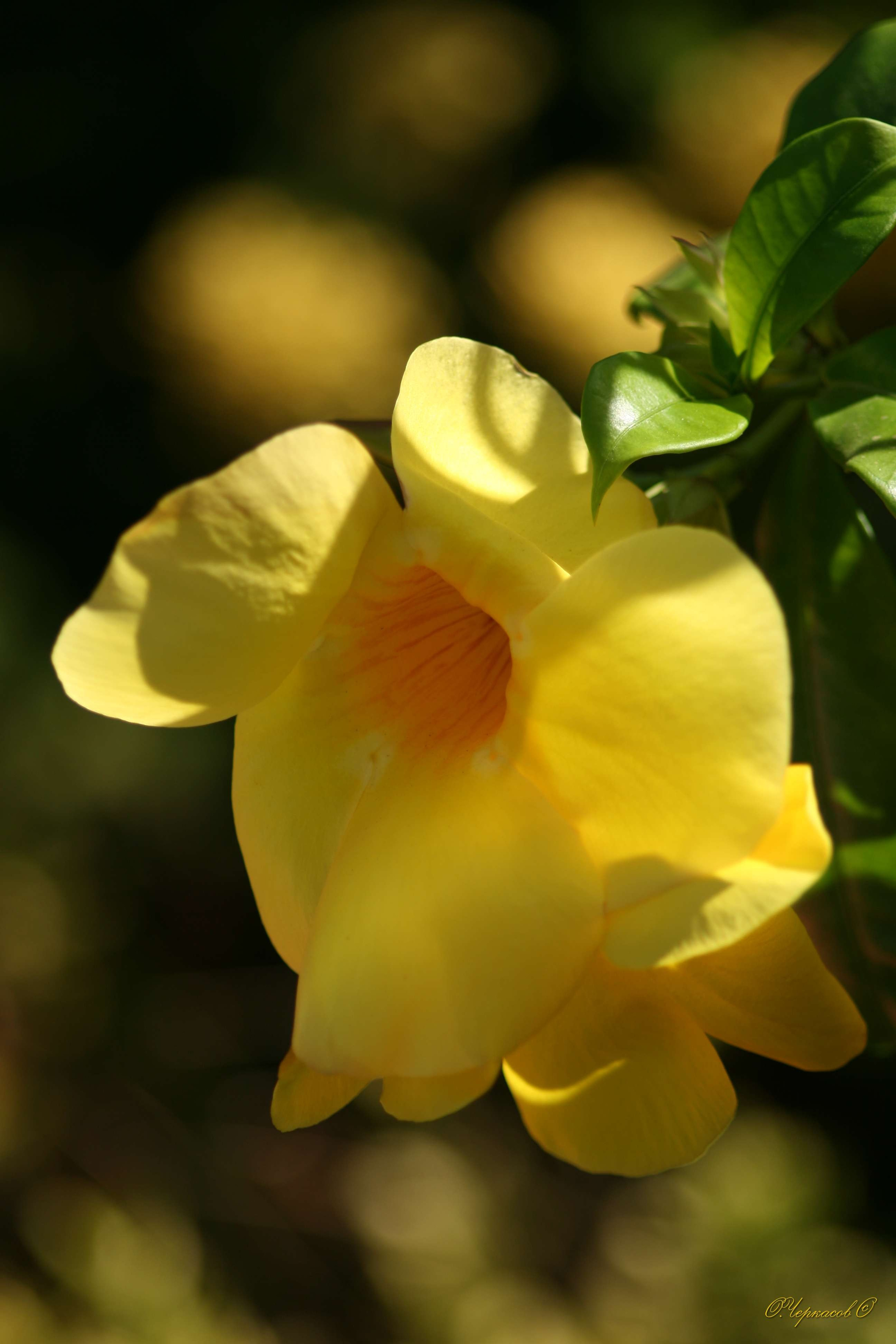 Вьетнам 2008 г. Улица, люди, жизнь…