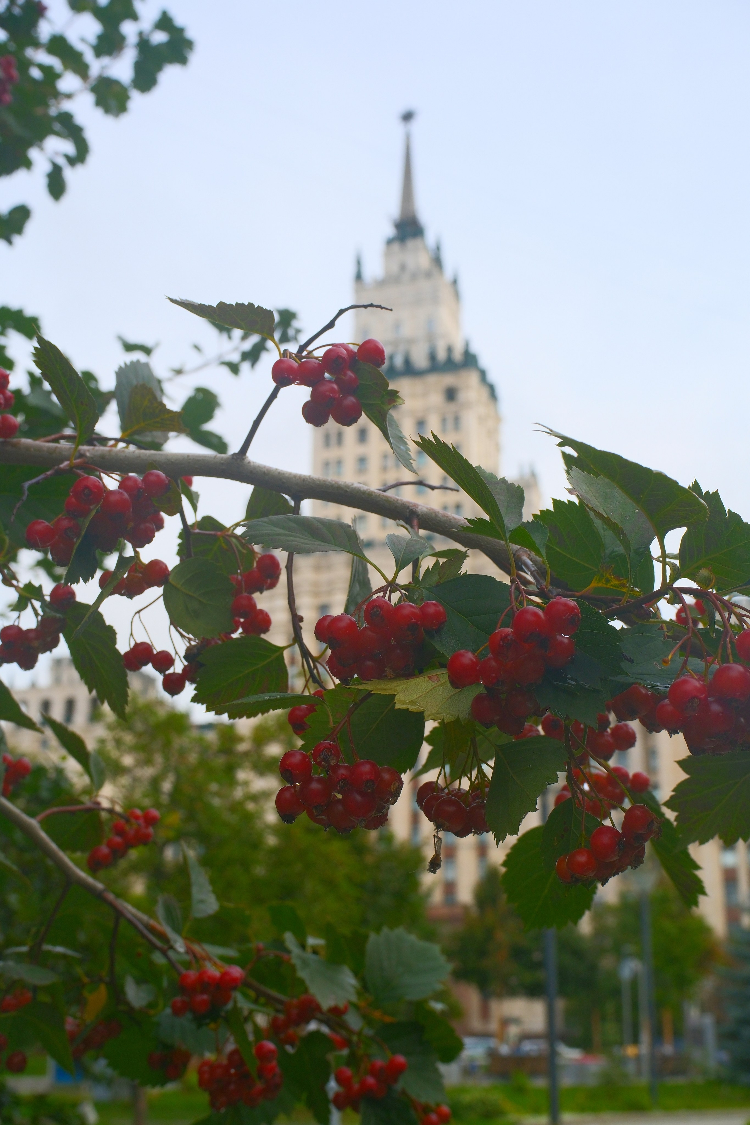 Улица, люди, жизнь…