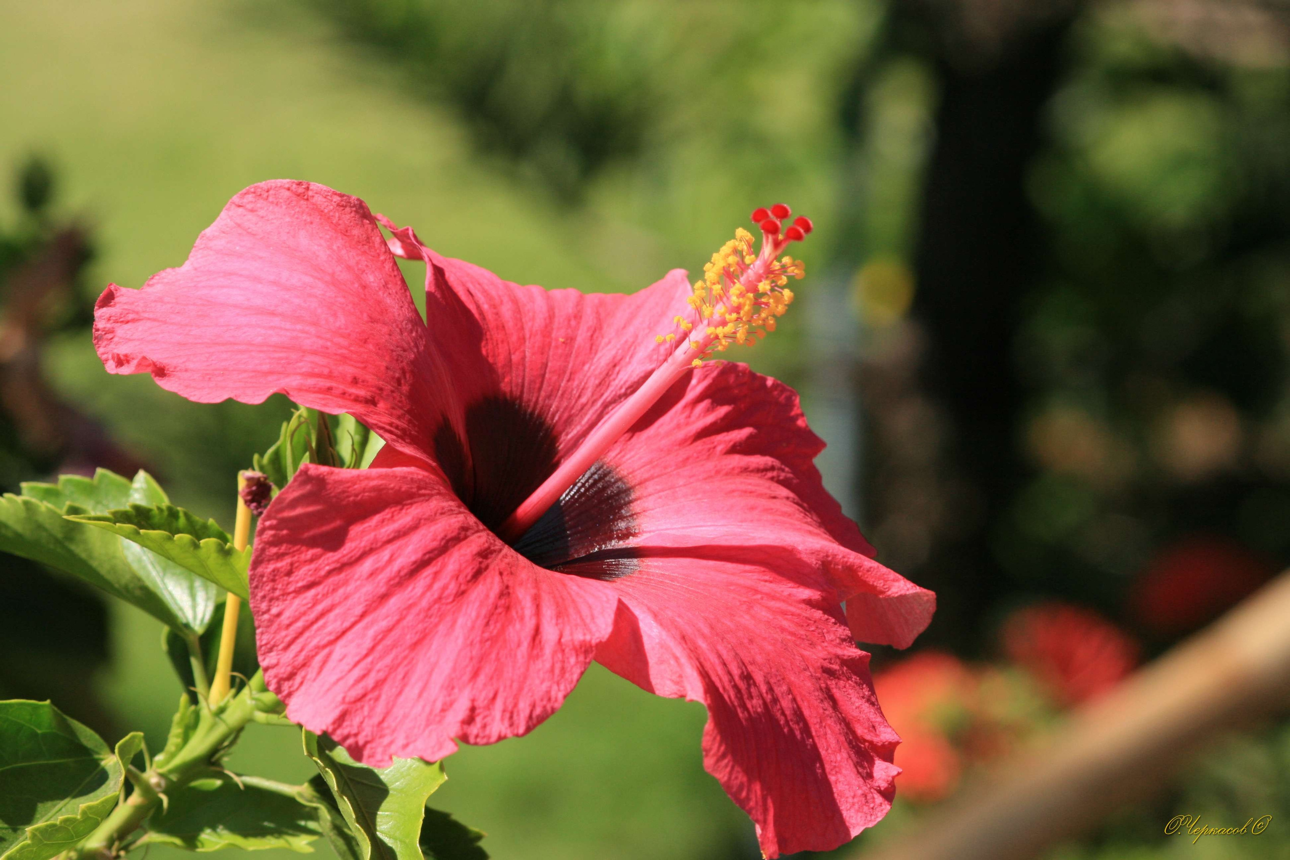 Вьетнам 2008 г. Улица, люди, жизнь…