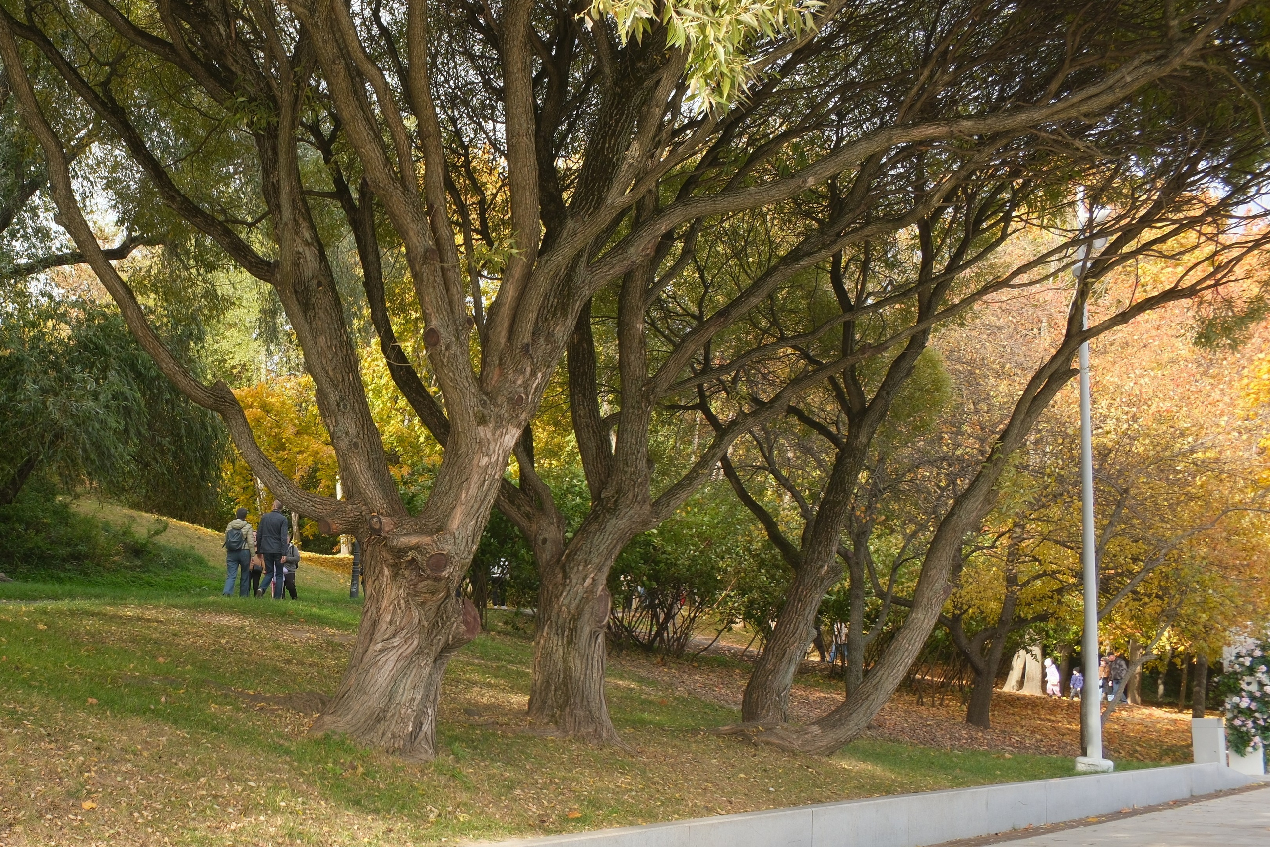 Коломенское 04.10.2025. Улица, люди, жизнь…