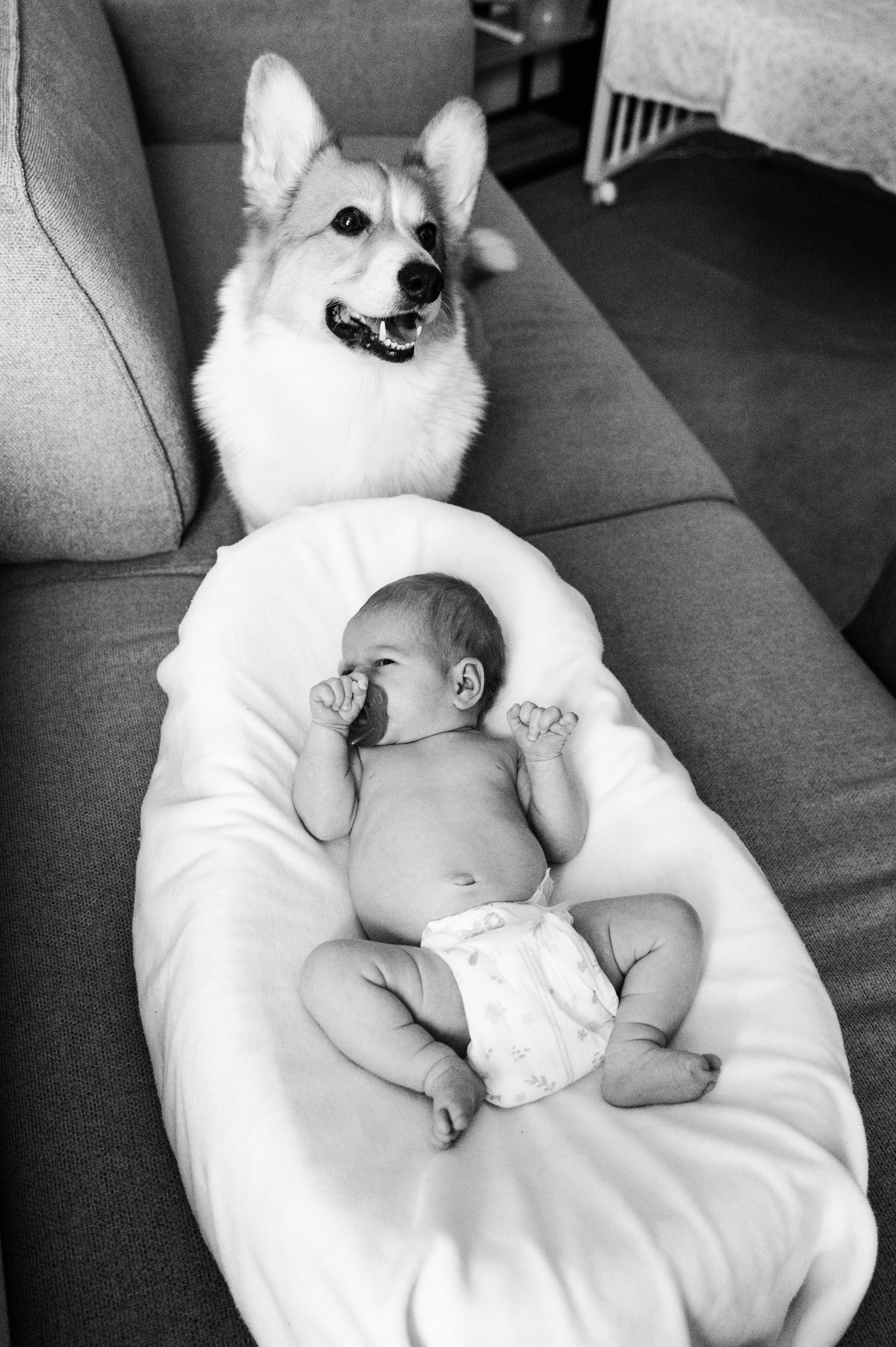 Лизавета, Никита и Мирослава. Фотограф беременности и семьи, домашние съемки, Ньюборн