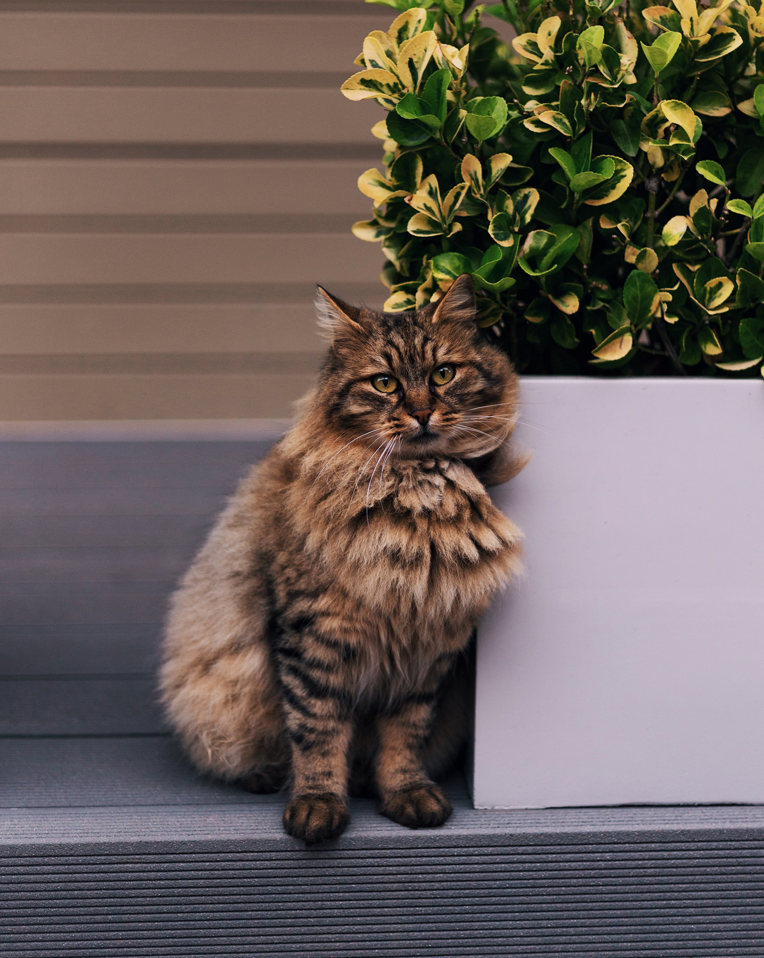 Марина. Женский и семейный фотограф в Стамбуле и Москве
