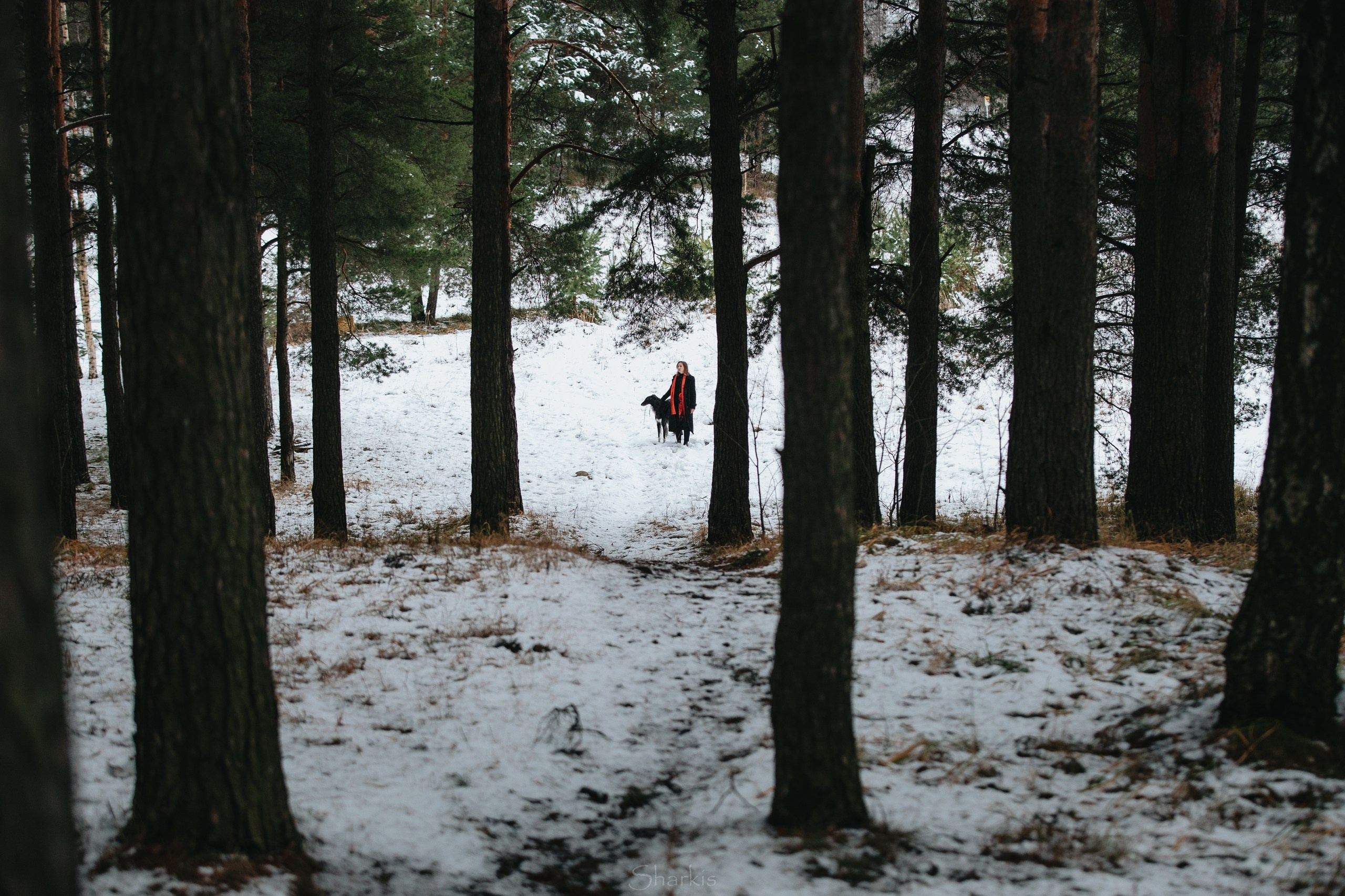 Альбомы. Главная