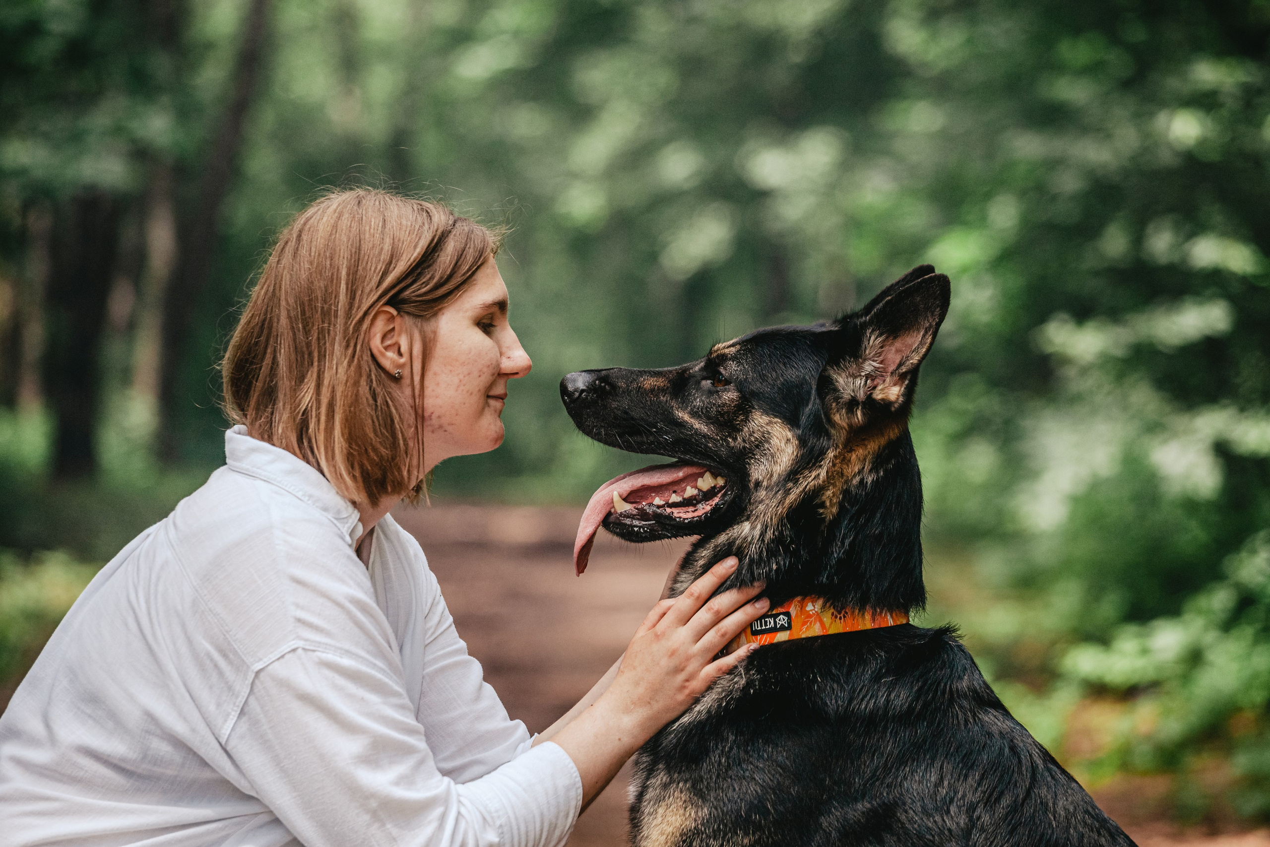 Лесная летняя фотопрогулка. Фотограф-анималист Татьяна Степанова