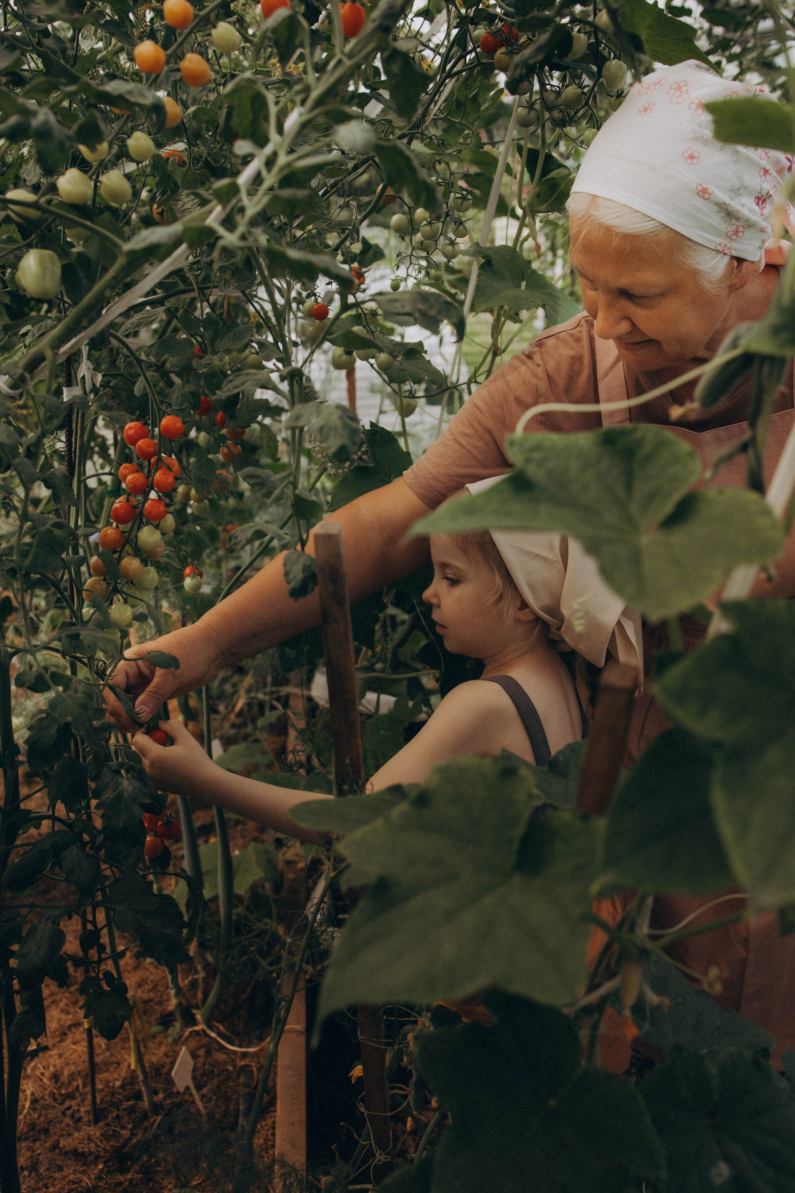 Одним летним днем. Фотограф lifestylе в Москве Пшеничная Анастасия