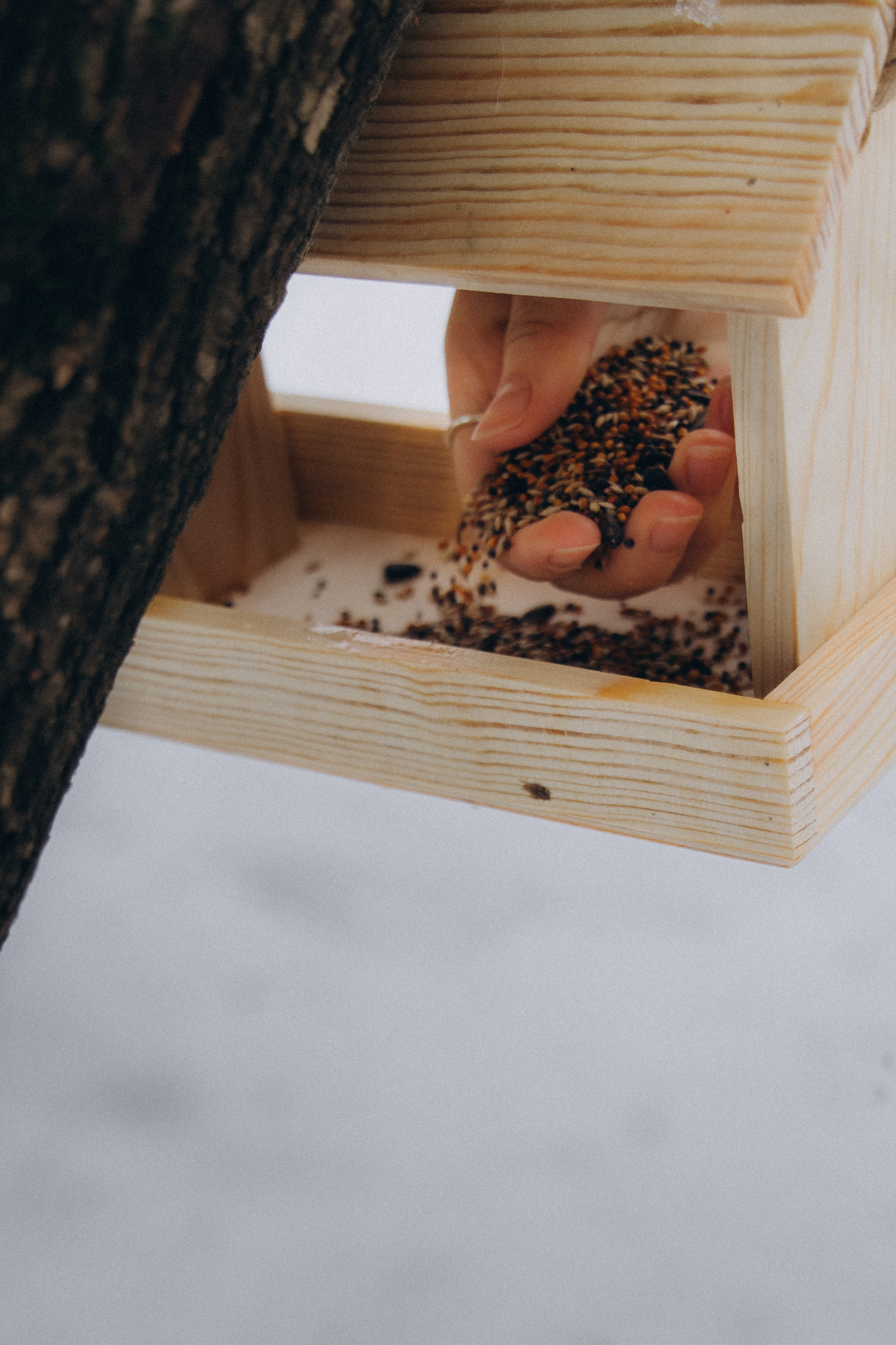 Зимнее очарование. Фотограф lifestylе в Москве Пшеничная Анастасия