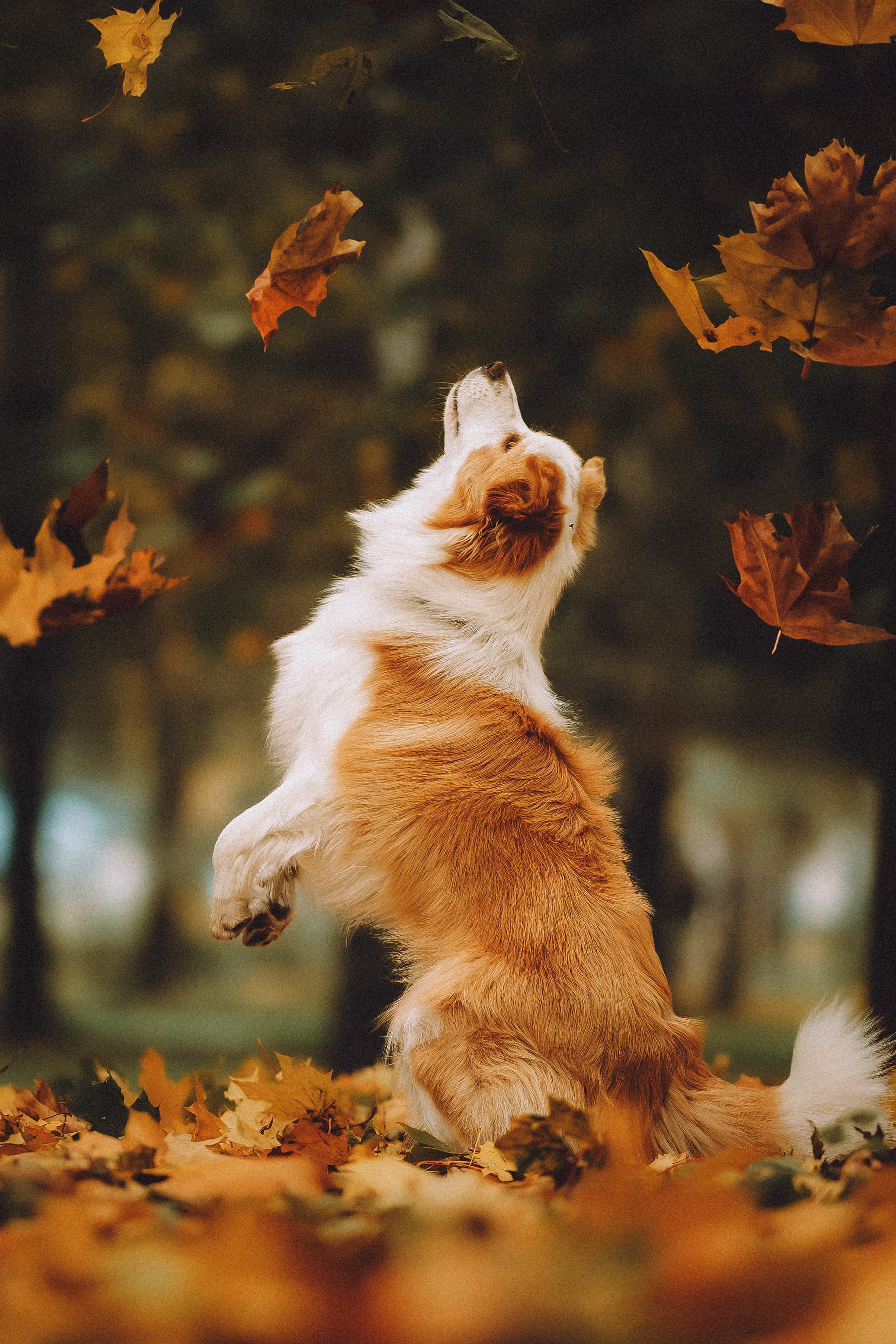 Алина, Витя и Асти